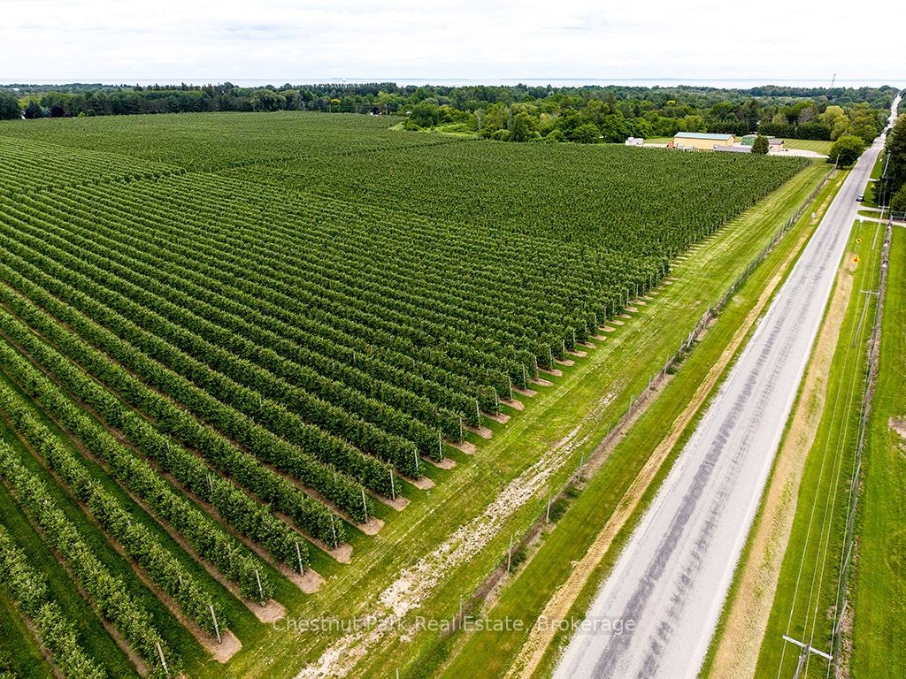 Pt Lt 31 Sideroad 30 Property Photo 5