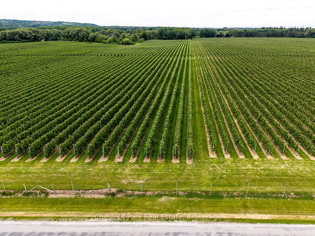 Pt Lt 31 Sideroad 30 Property Photo 7
