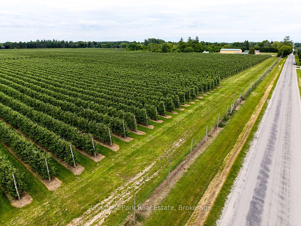 Pt Lt 31 Sideroad 30 Property Photo 9