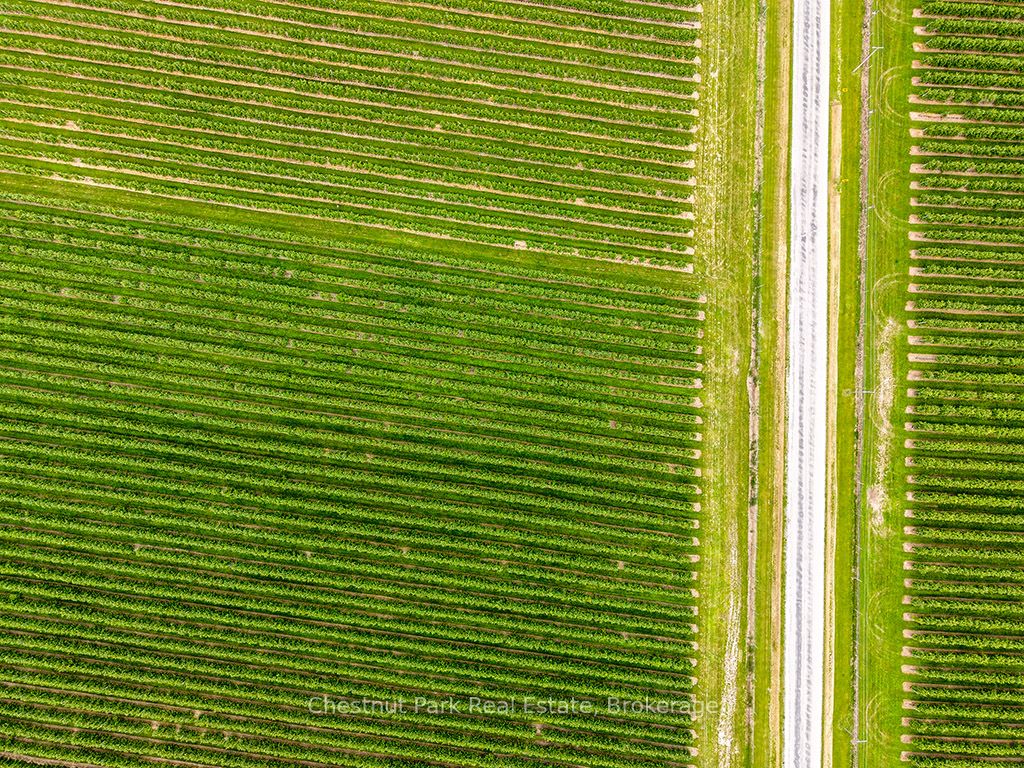Pt Lt 31 Sideroad 30 Property Photo 13