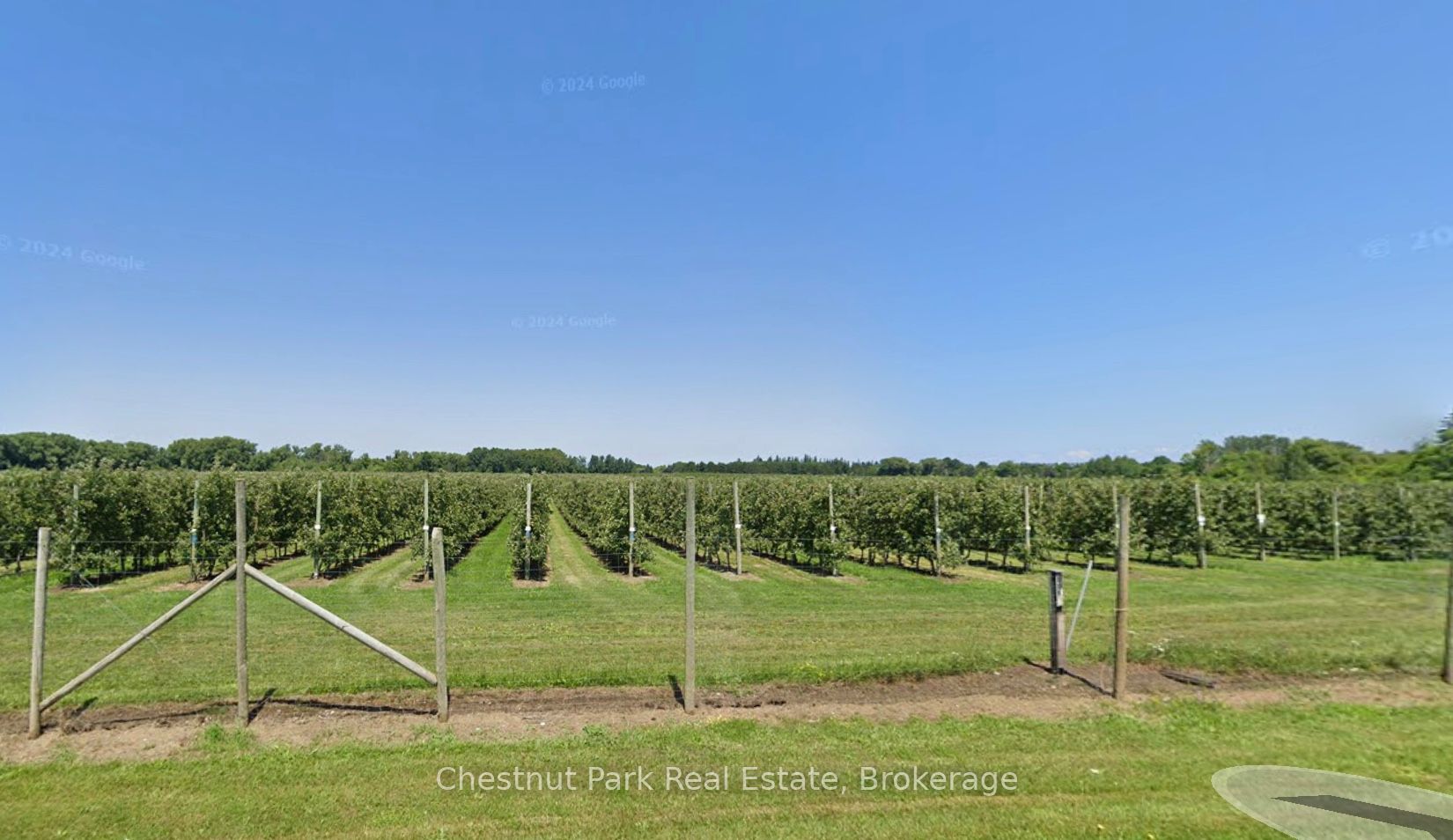Pt Lt 31 Sideroad 30 Property Photo 15