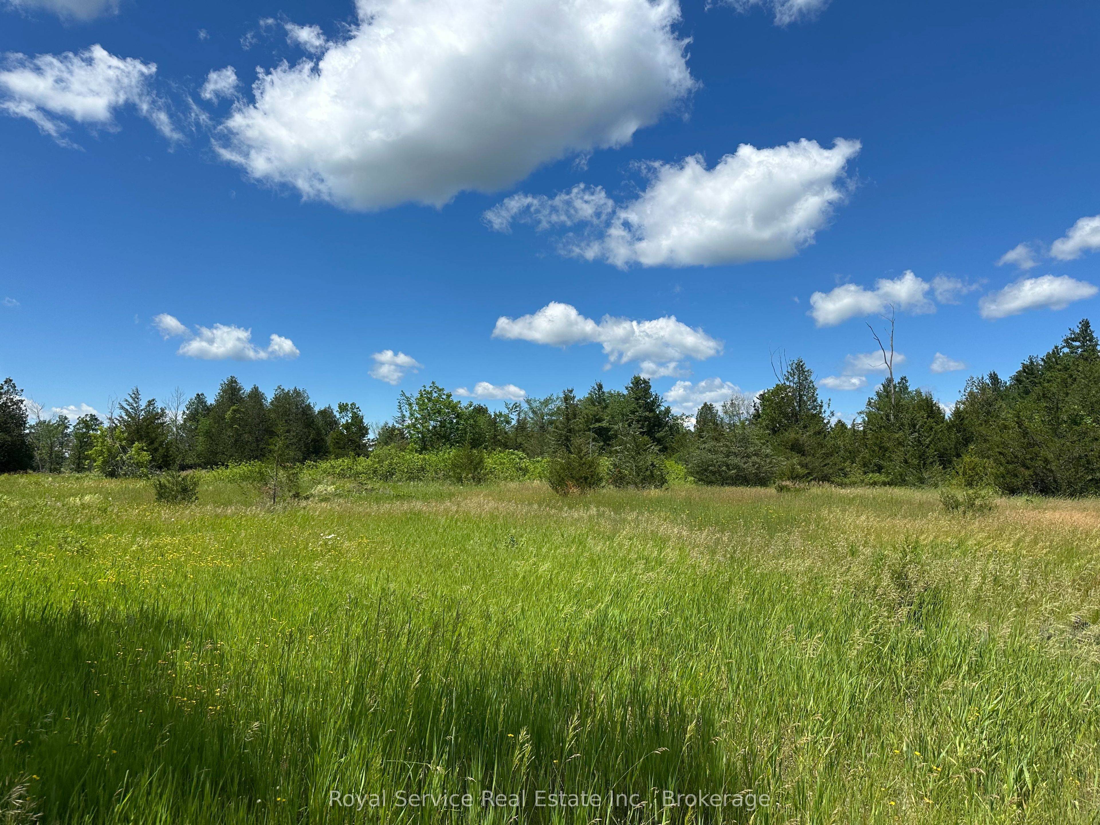 1794 Springbrook Road Property Photo 1