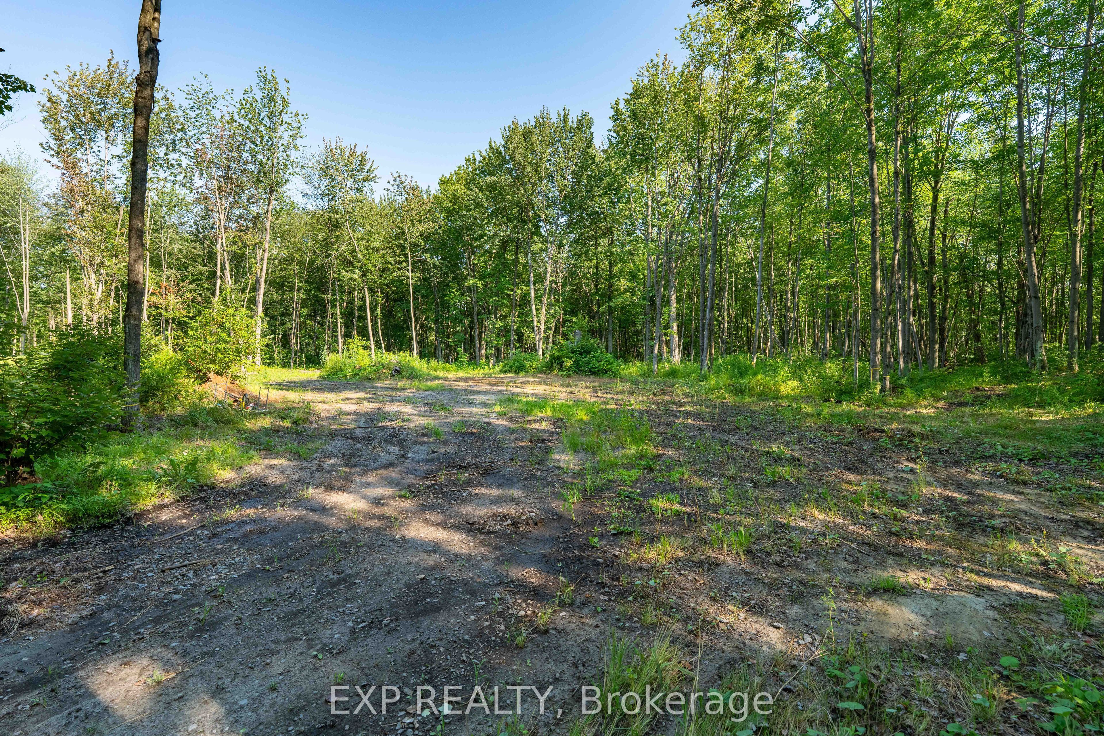 Lot 20 Concession 4 Road Property Photo 4