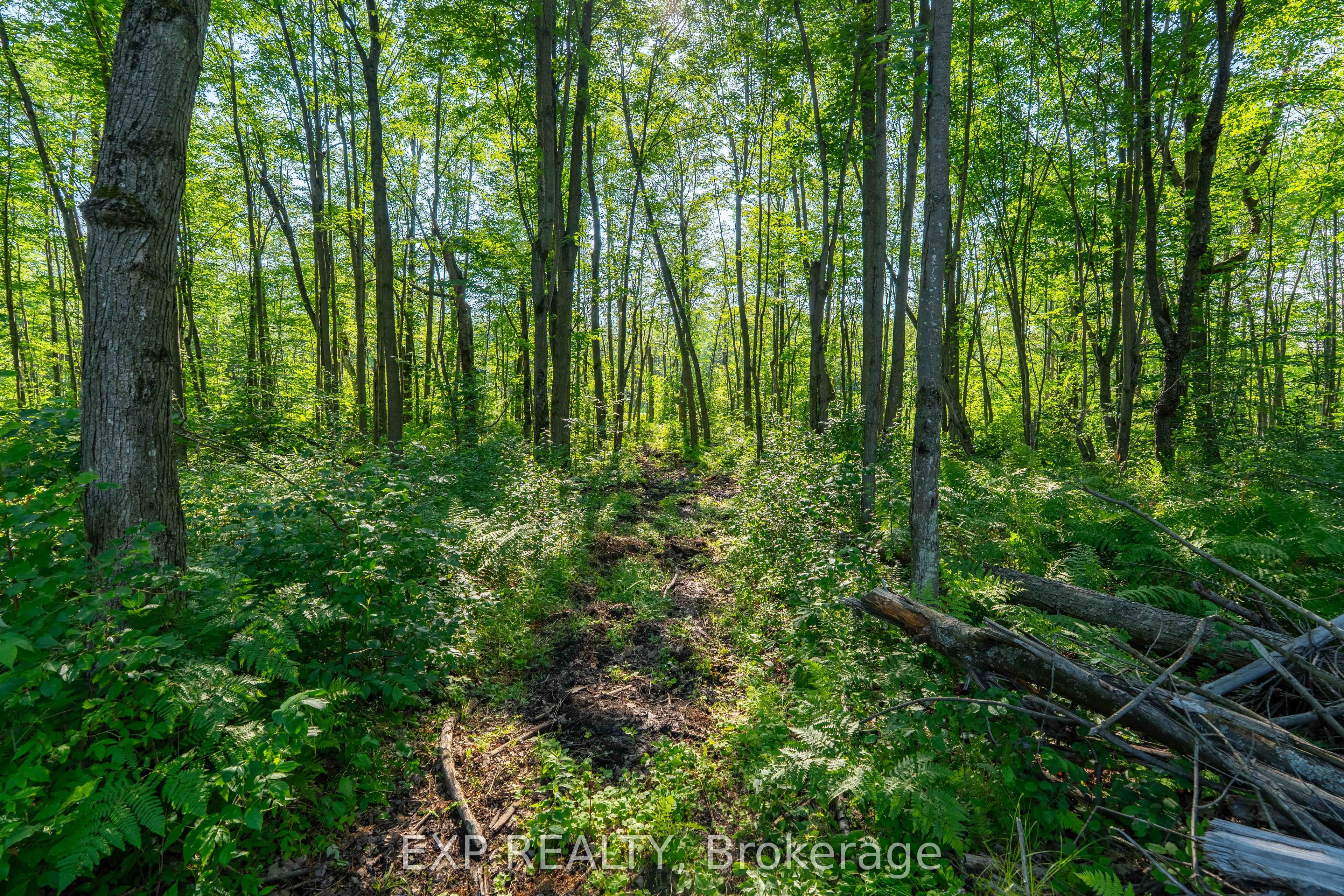 Lot 20 Concession 4 Road Property Photo 5