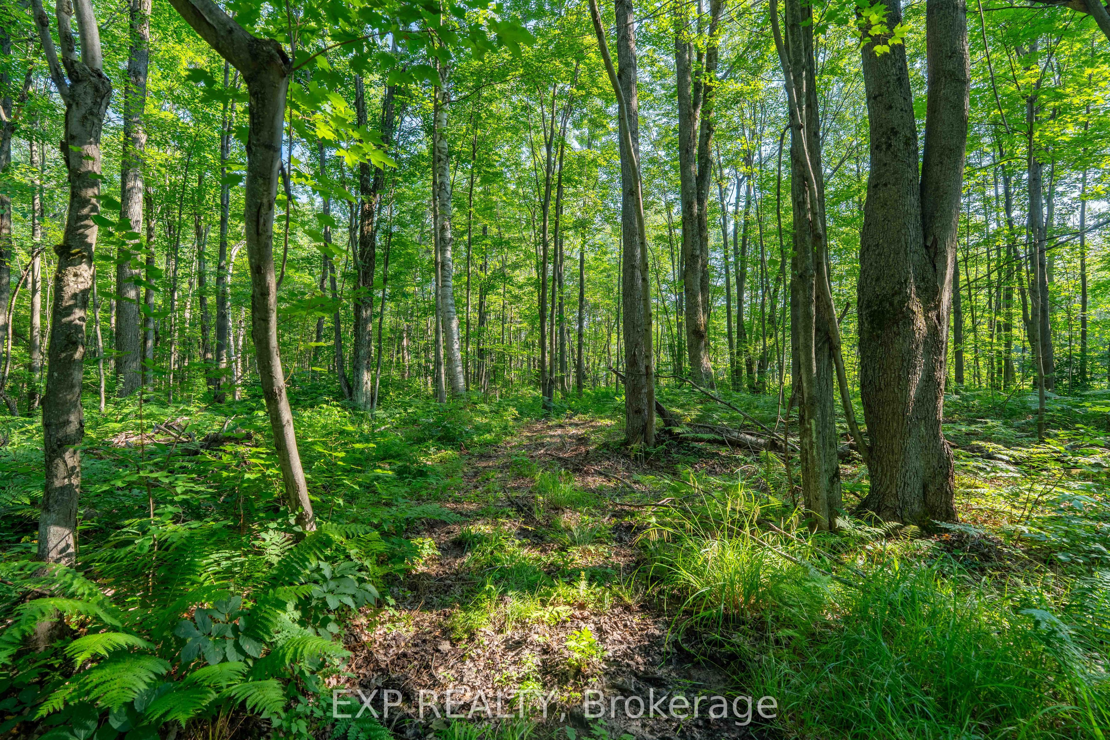 Lot 20 Concession 4 Road Property Photo 6