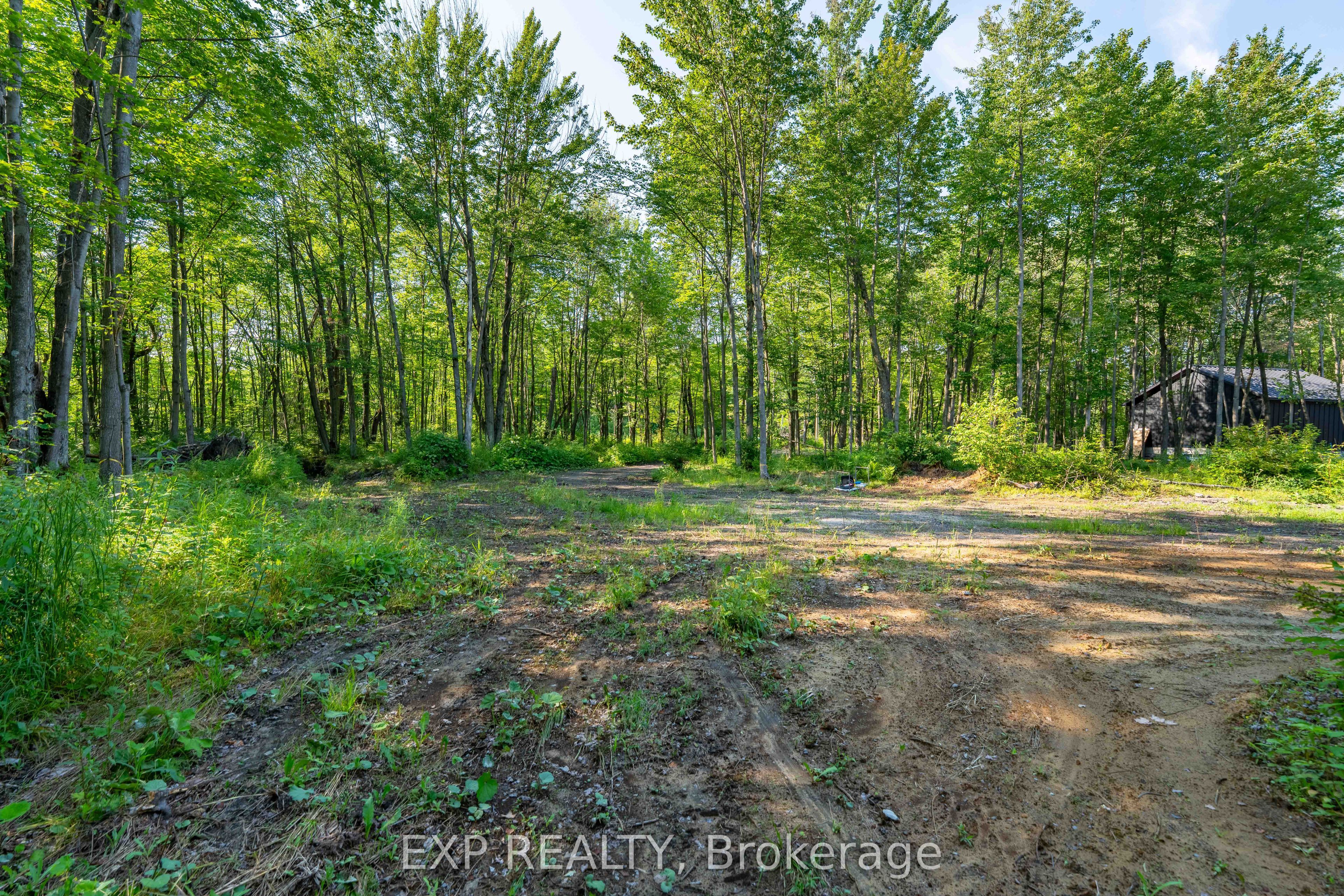 Lot 20 Concession 4 Road Property Photo 7