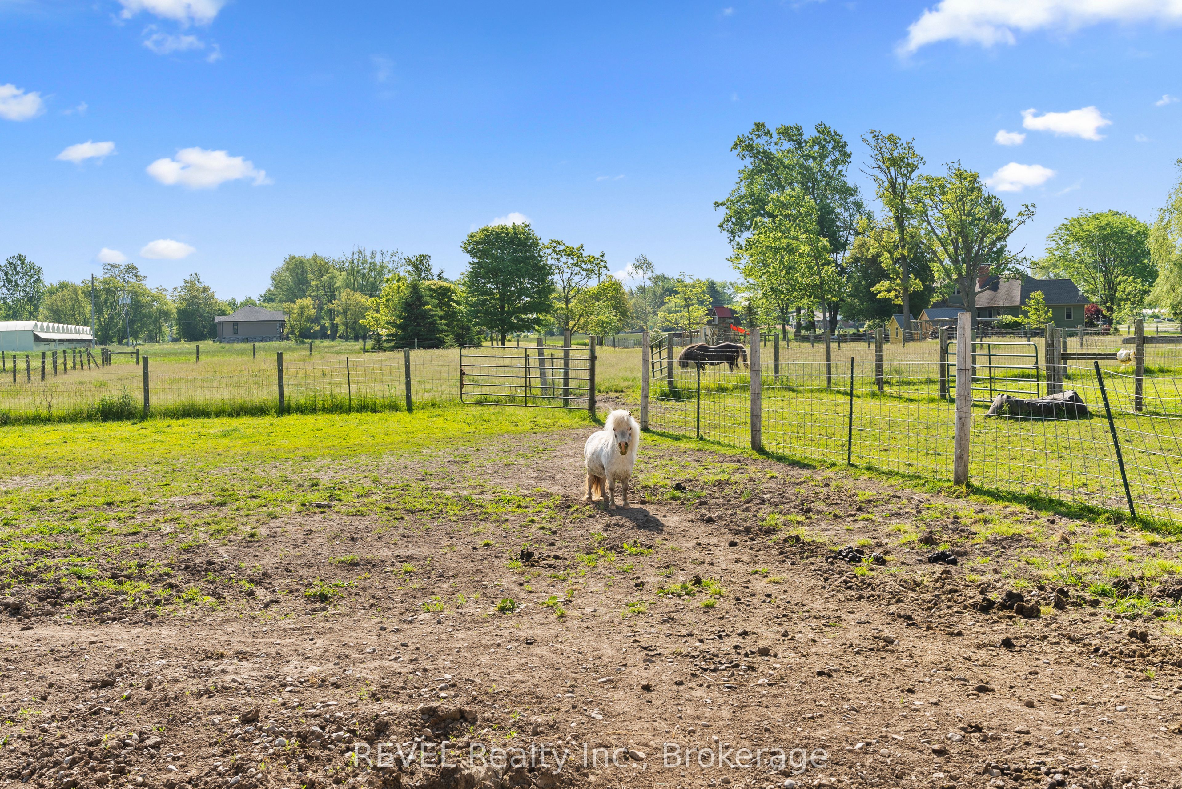 43758 Highway #3 (forks Rd) Highway Property Photo 20