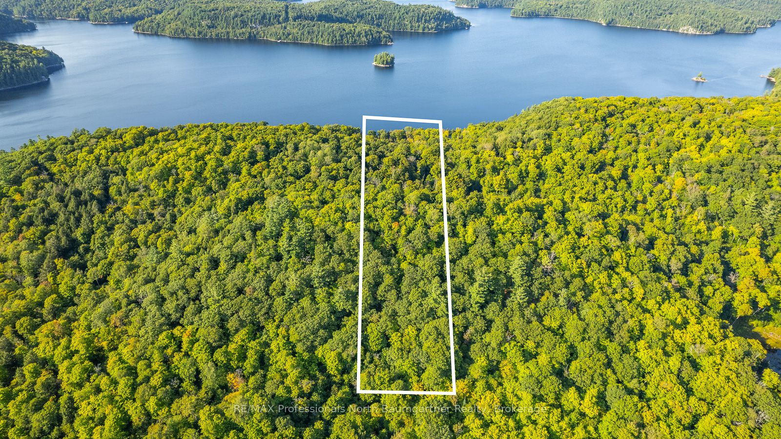 0 Adeline Trail Property Photo 2