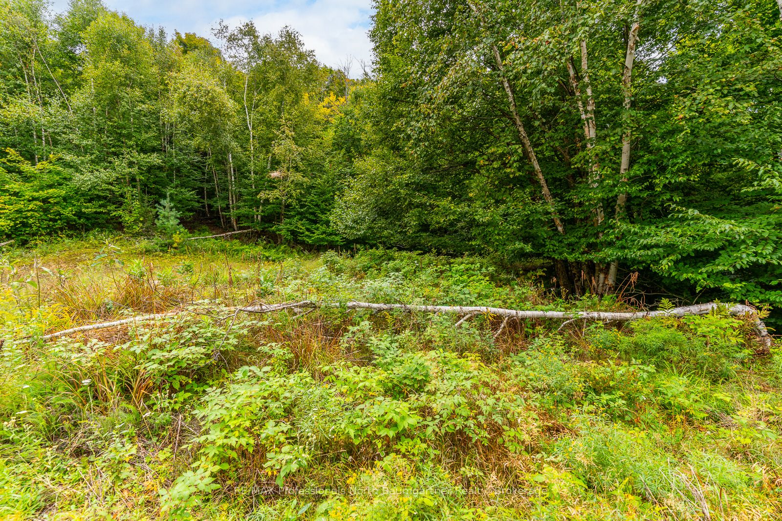 0 Adeline Trail Property Photo 6
