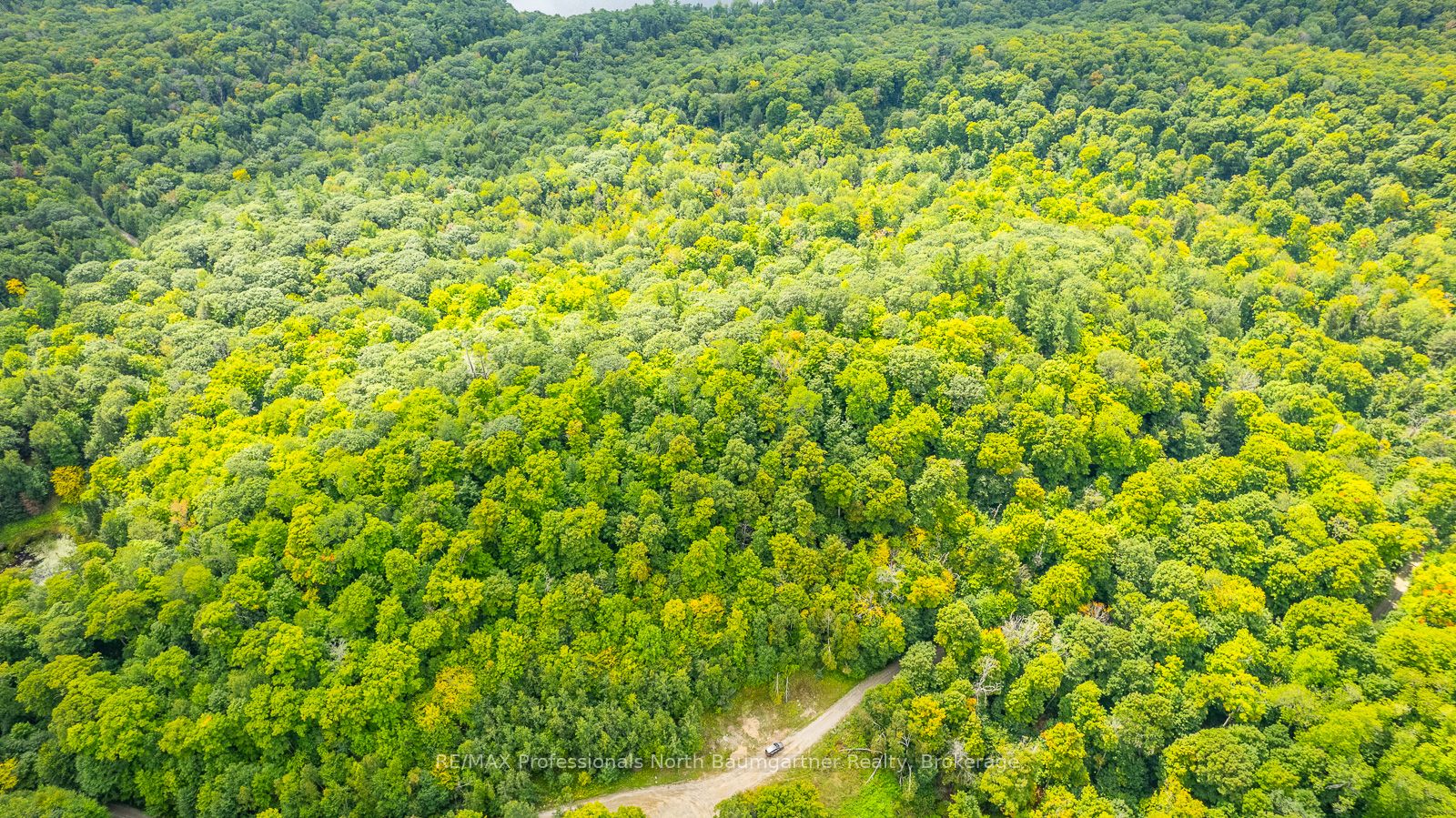 0 Adeline Trail Property Photo 22