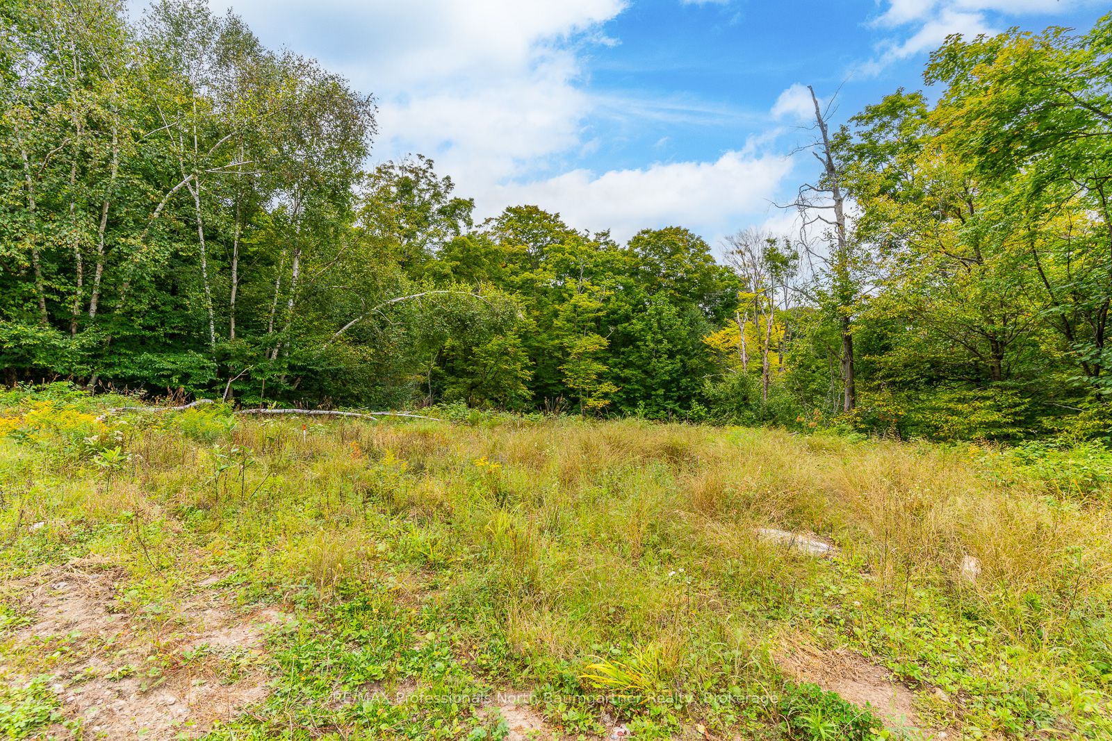 0 Adeline Trail Property Photo 42