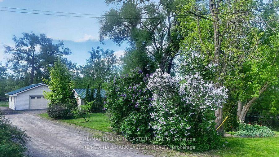 267 Centre Line Property Photo 49