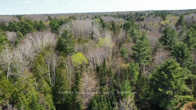 Tbd Bobcaygeon Road Property Photo 4