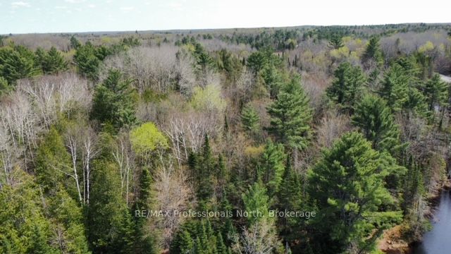 Tbd Bobcaygeon Road Property Photo 6