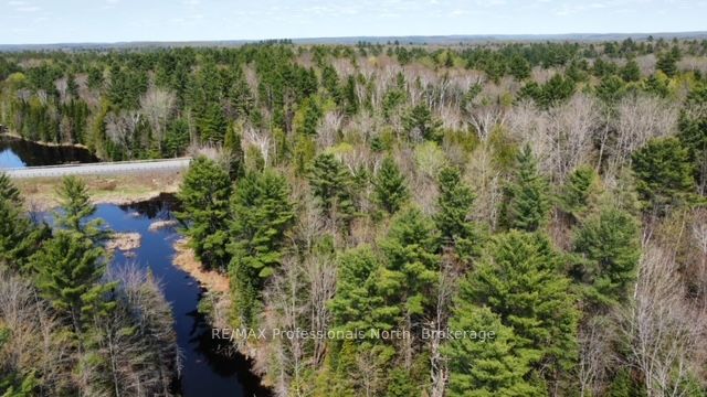 Tbd Bobcaygeon Road Property Photo 11