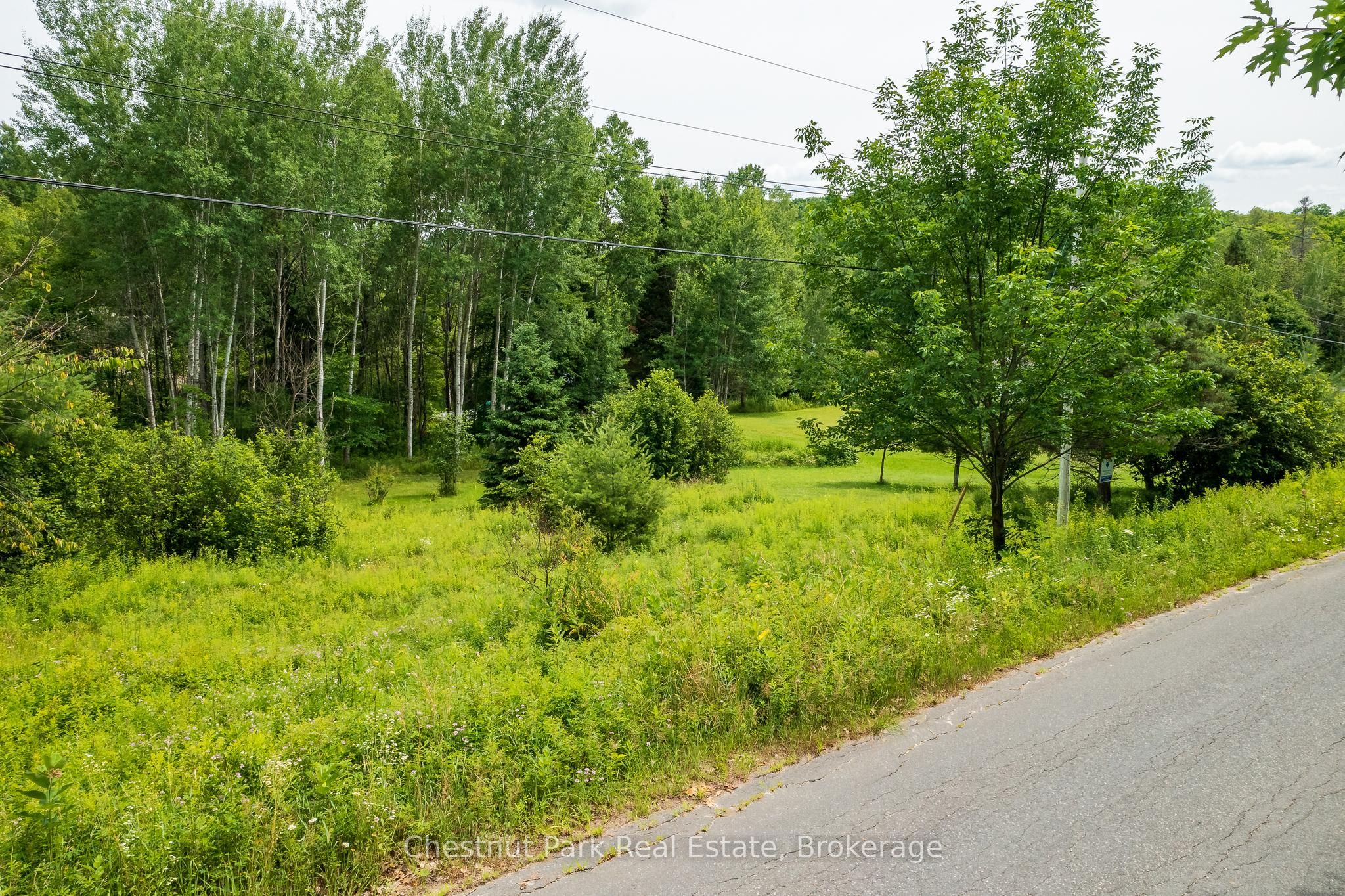17 Vernon Lane Property Photo 10