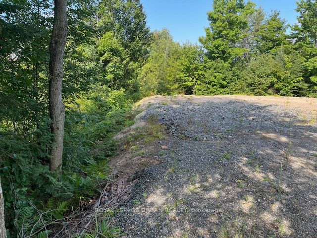 836 Rye Road Property Photo 4