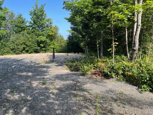 836 Rye Road Property Photo 5