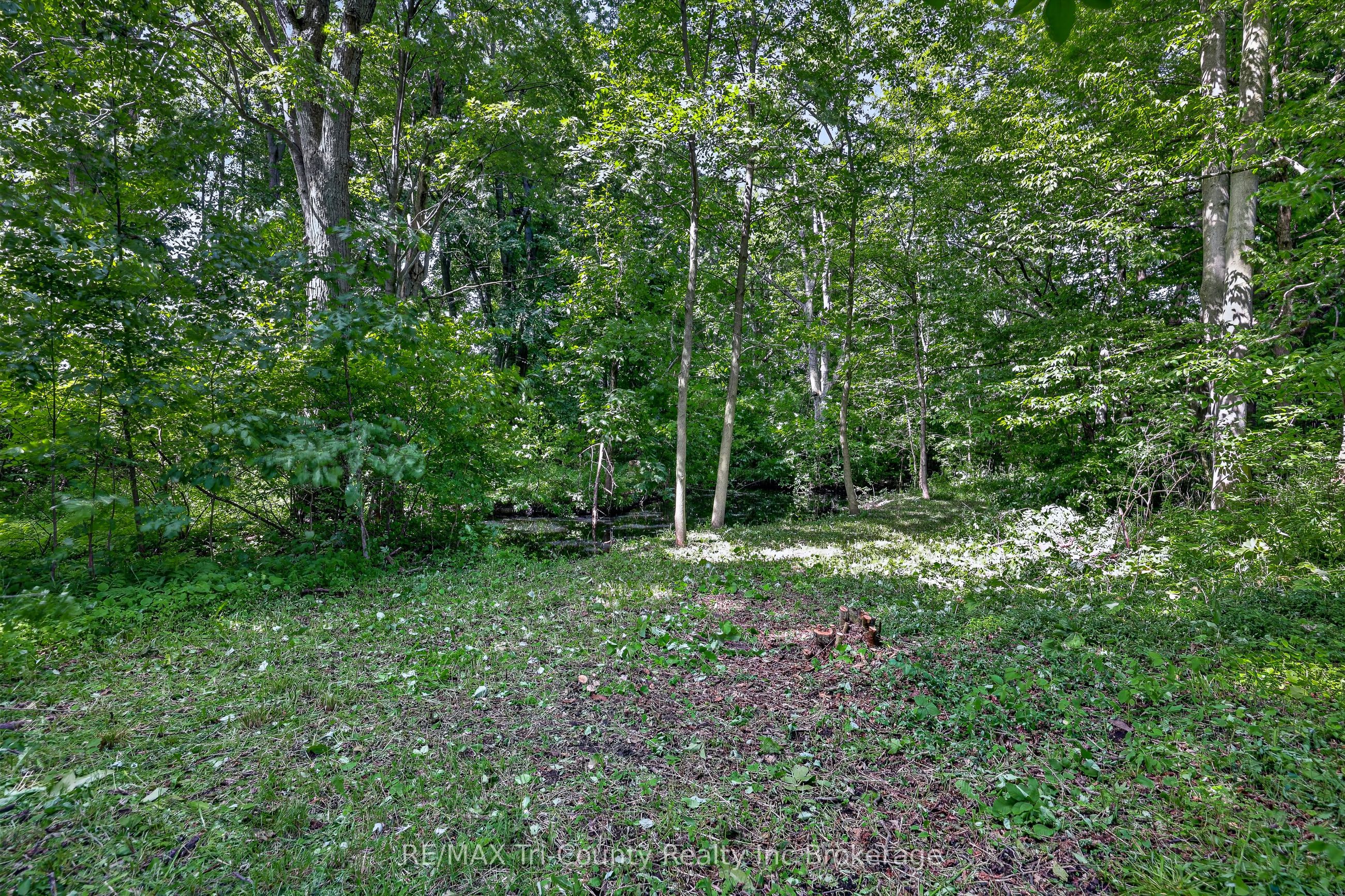 54427 Talbot Line Property Photo 38