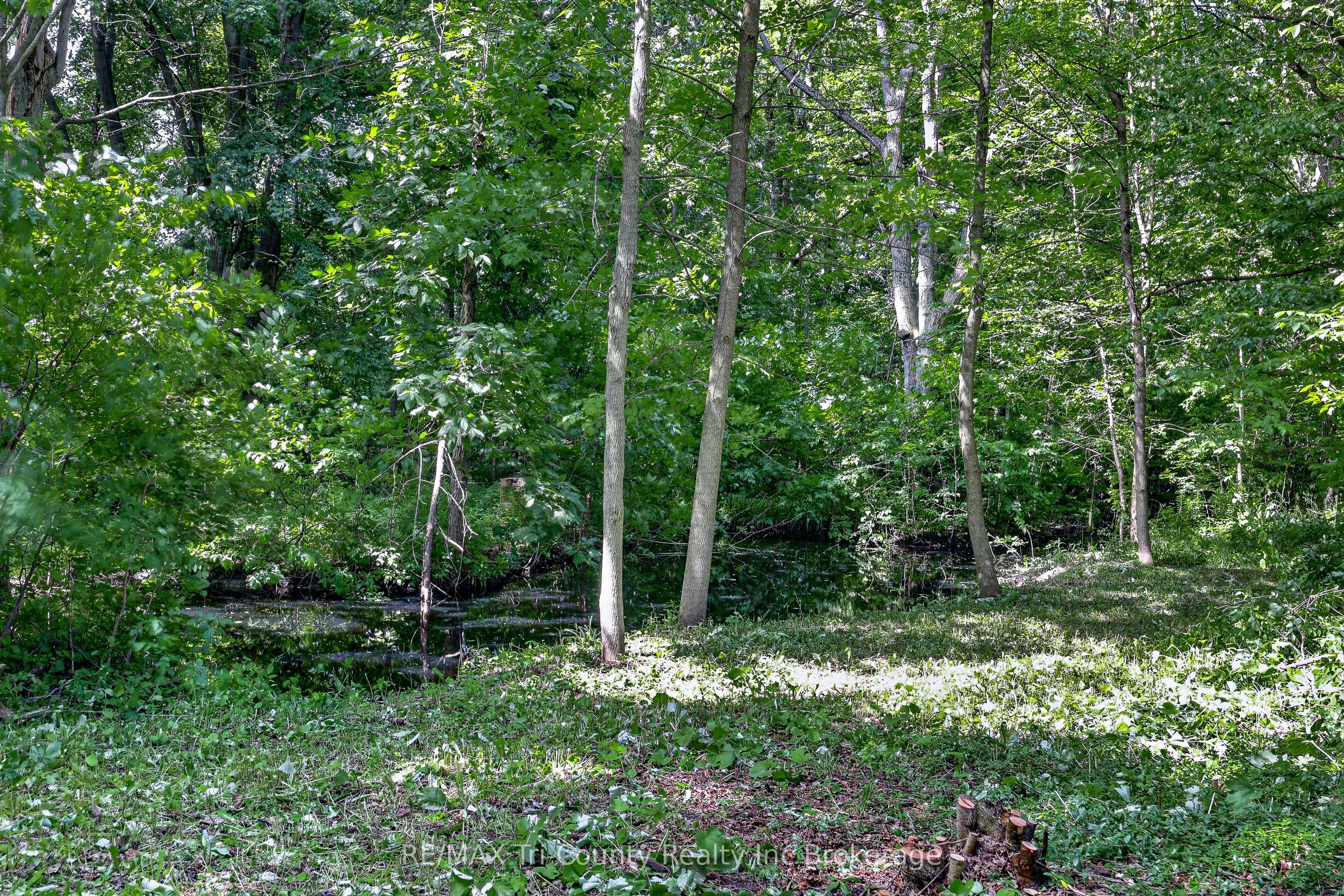 54427 Talbot Line Property Photo 39