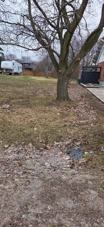1042 Dearness Drive Property Photo 2