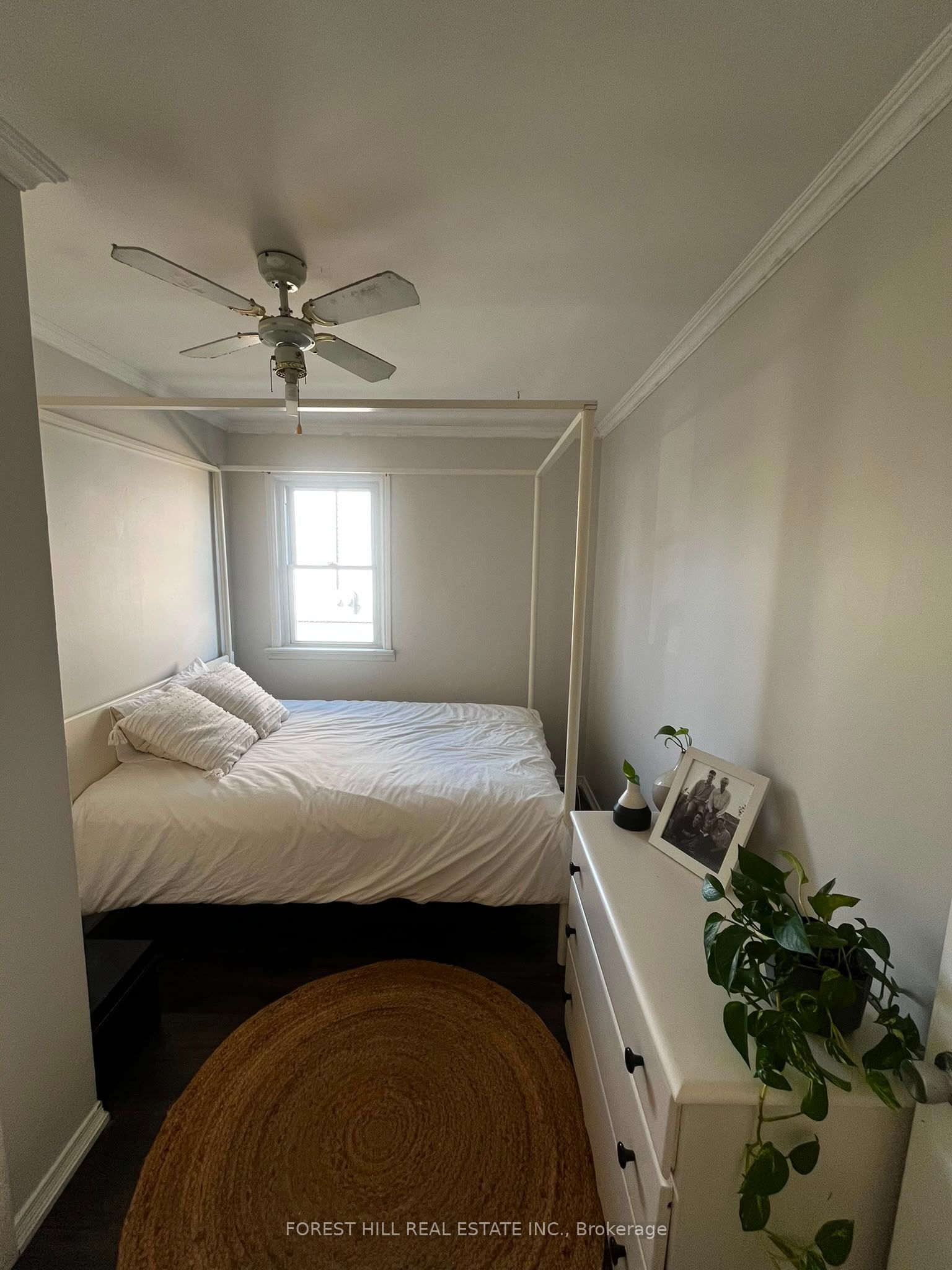 70 Tunis Street Main Property Photo 4