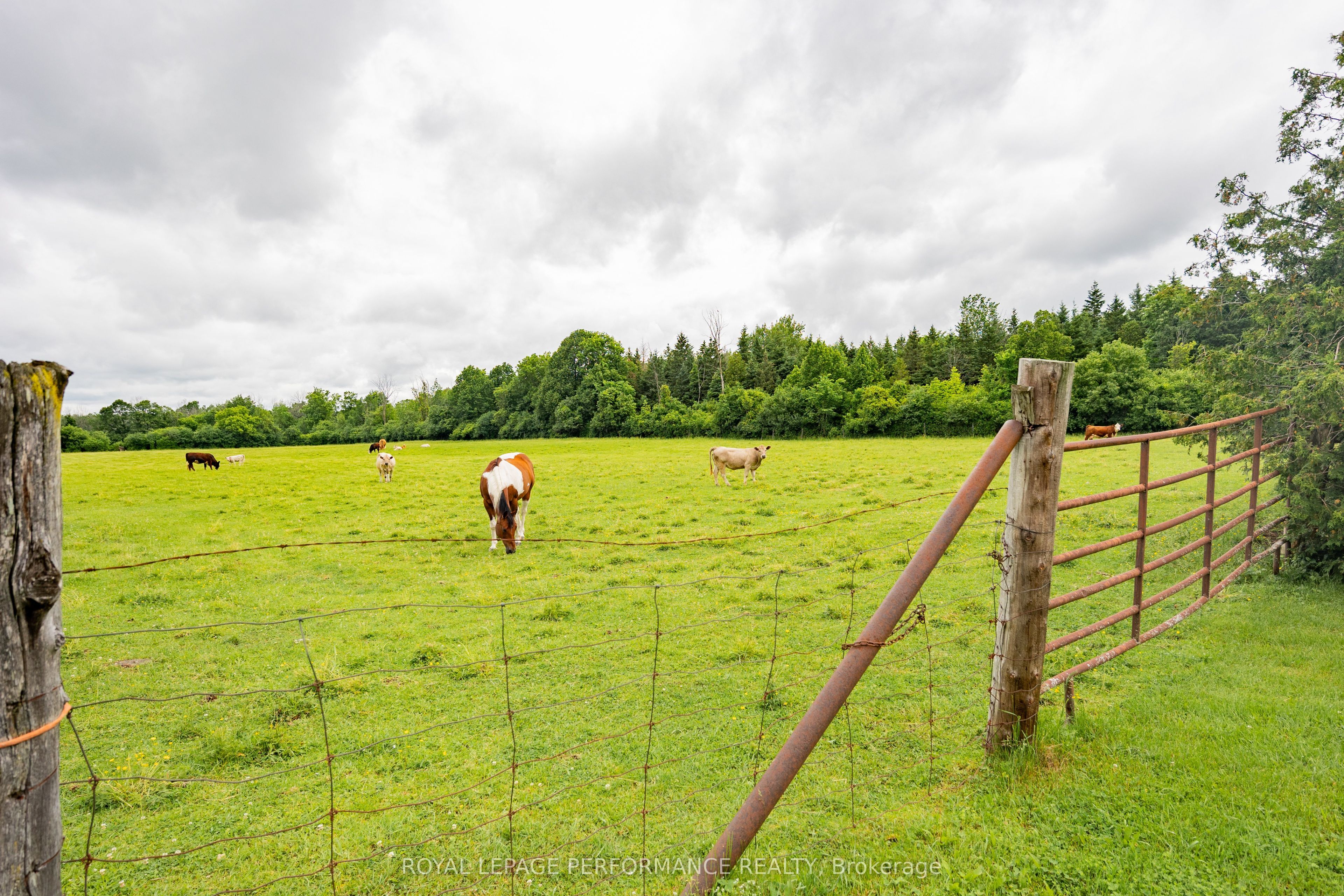 20195 Kenyon Conc Rd 1 Road Property Photo 10
