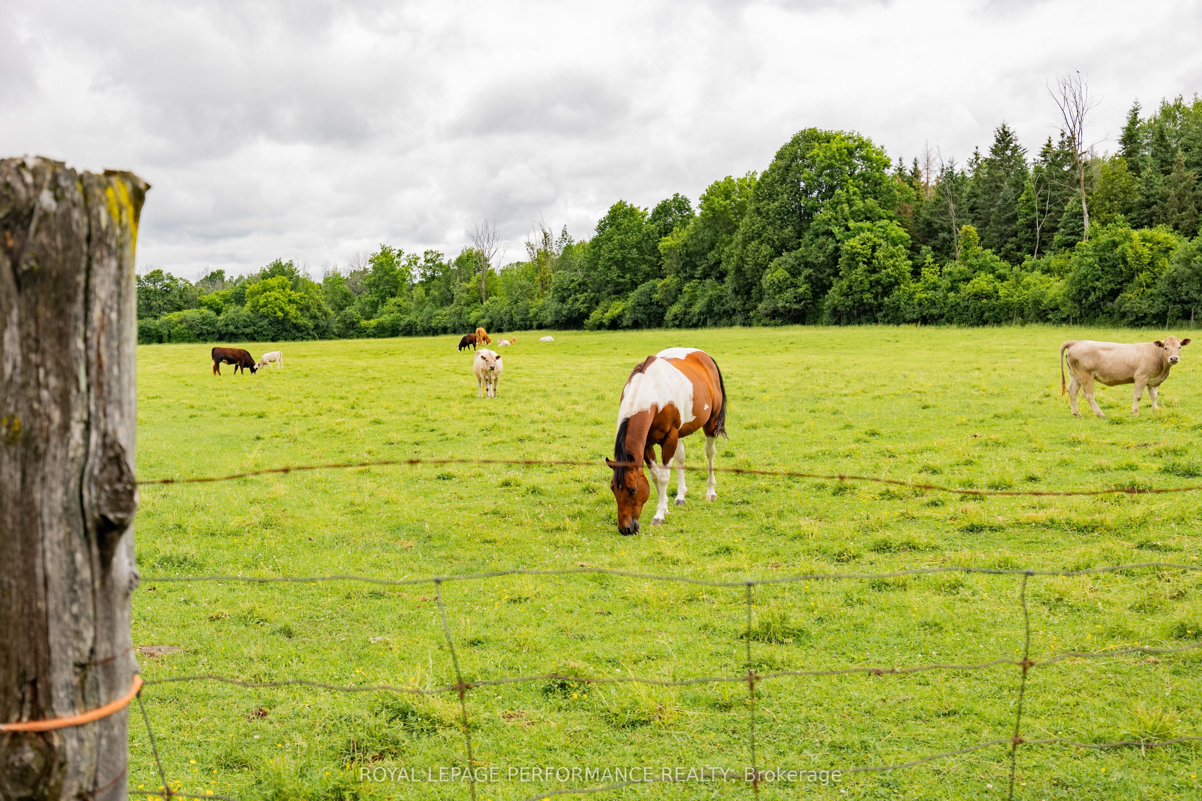 20195 Kenyon Conc Rd 1 Road Property Photo 11