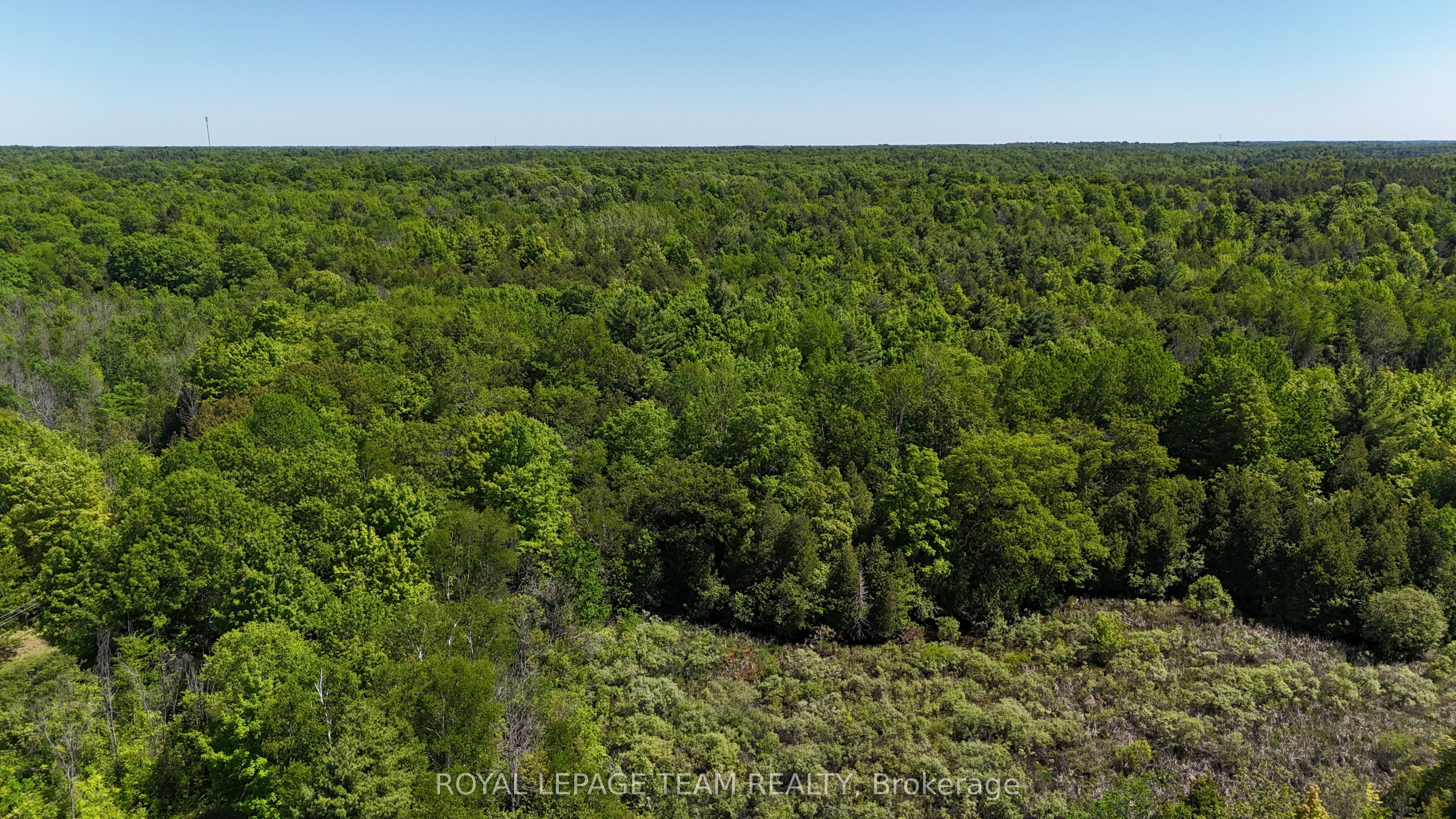 000 Dragonfly Lane Property Photo 6