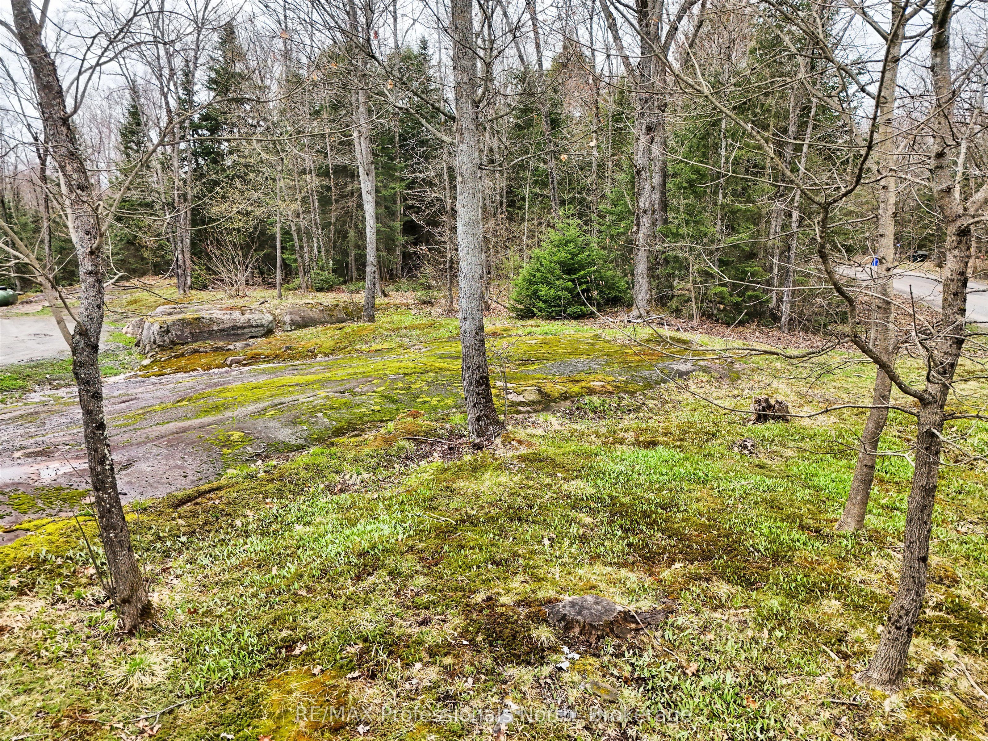 93 Mainhood's Road Property Photo 46