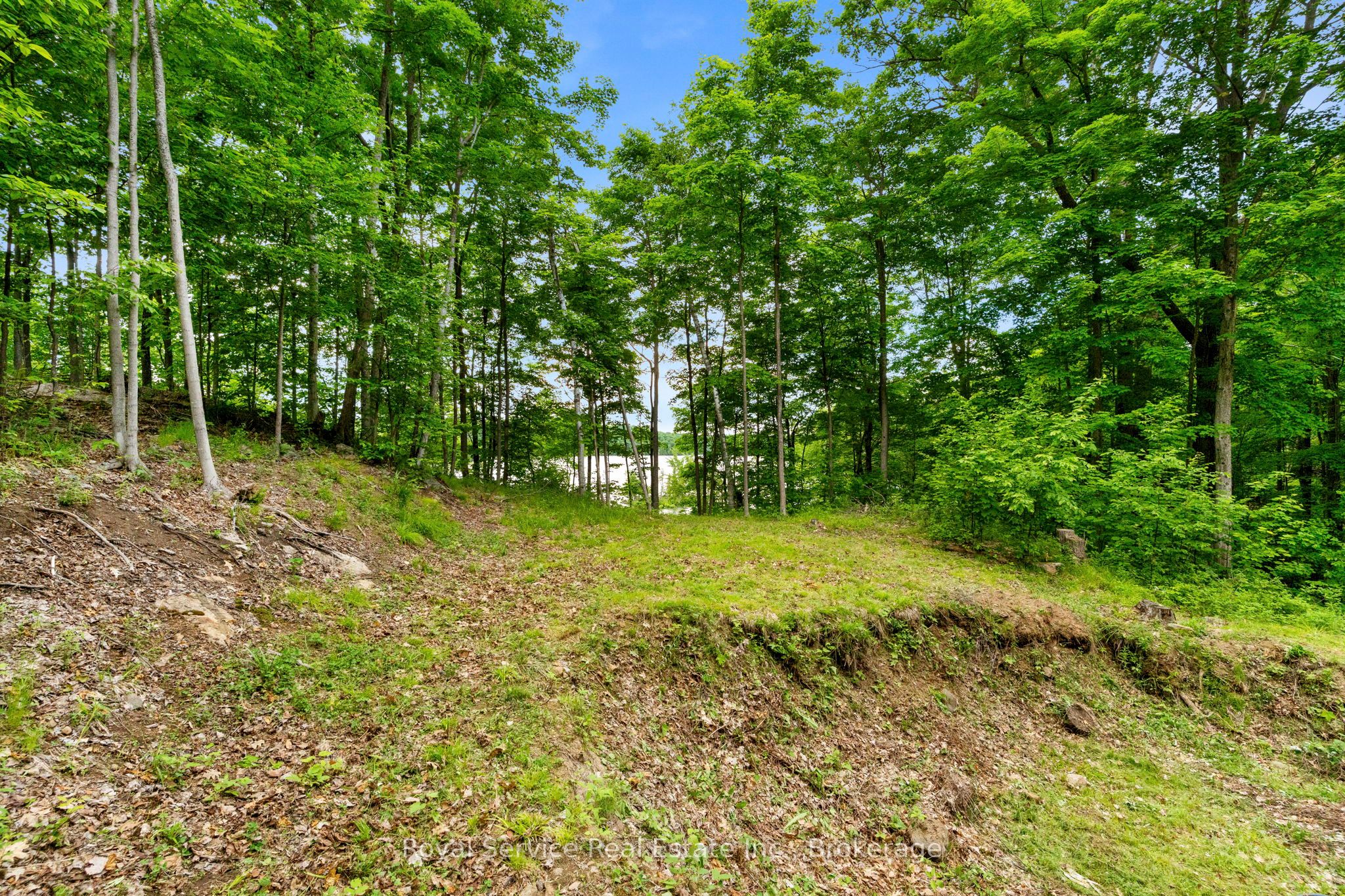 1314 Guigue Road Property Photo 7