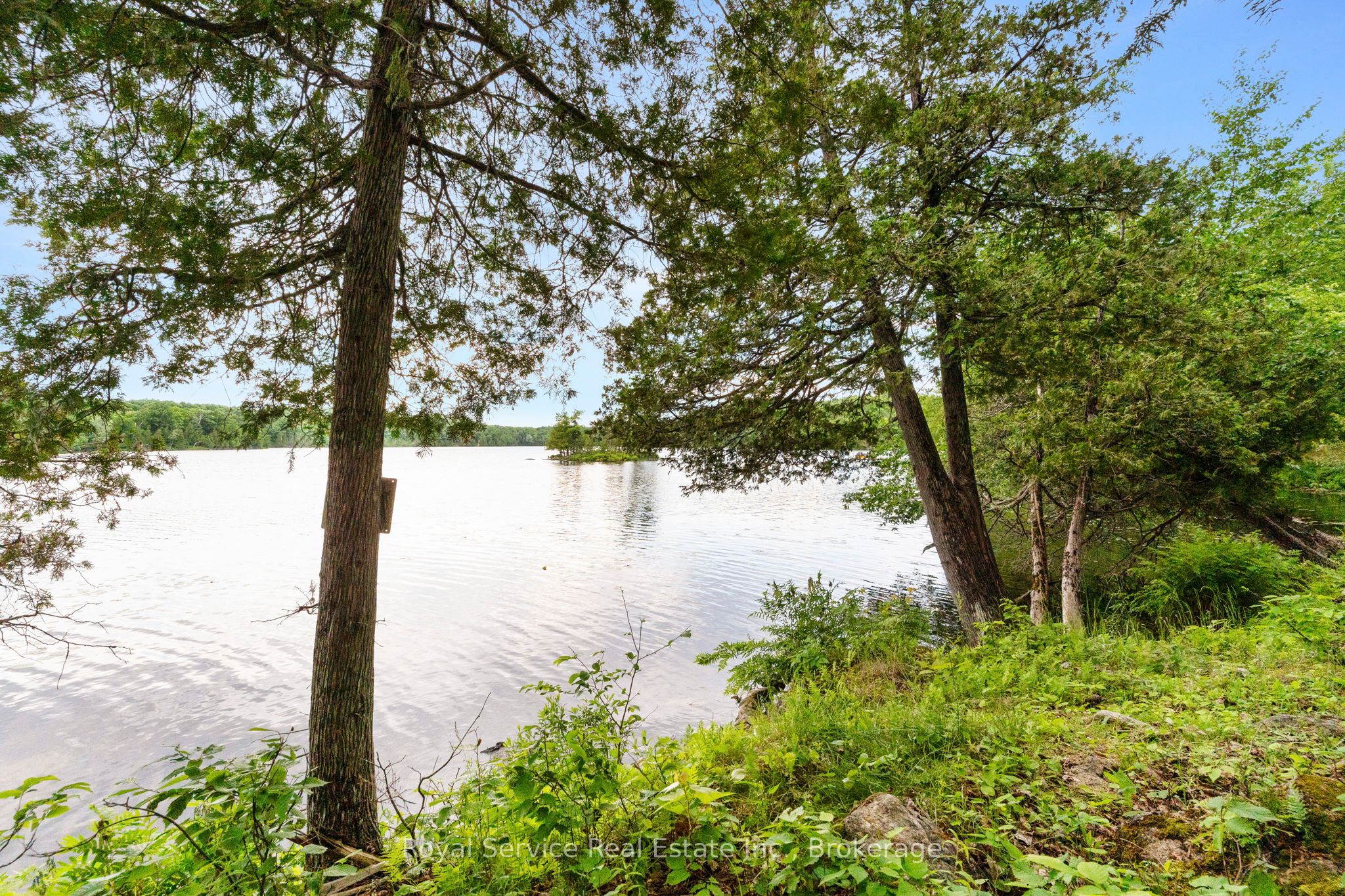 1314 Guigue Road Property Photo 18