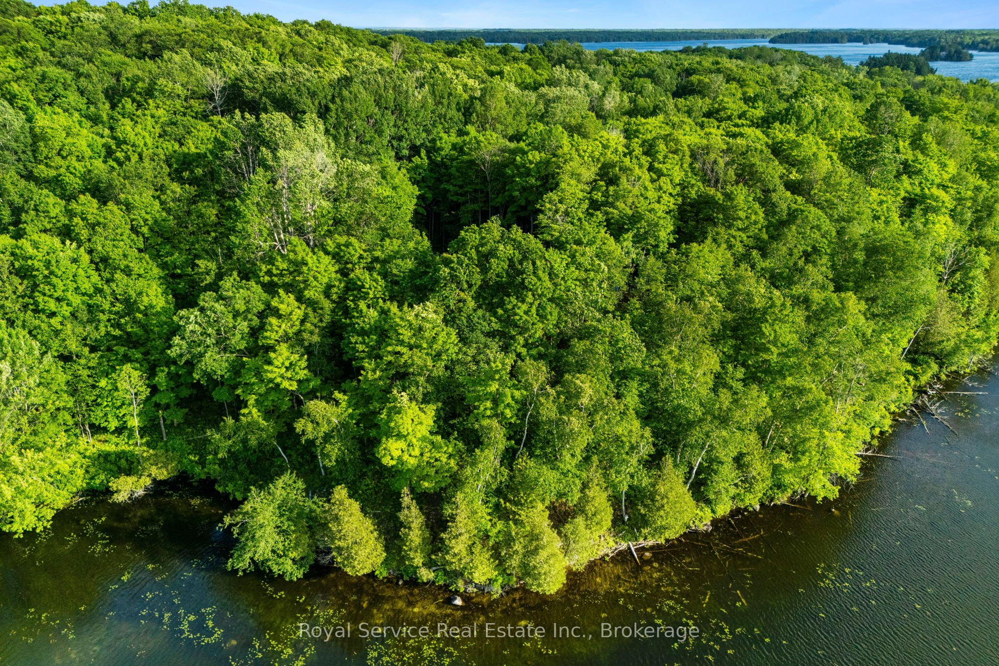1314 Guigue Road Property Photo 21