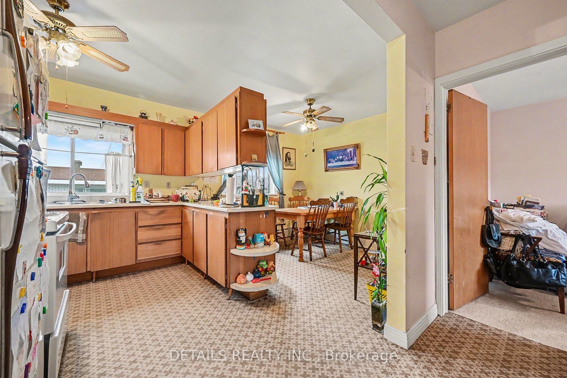 294 Donald Street Property Photo 45