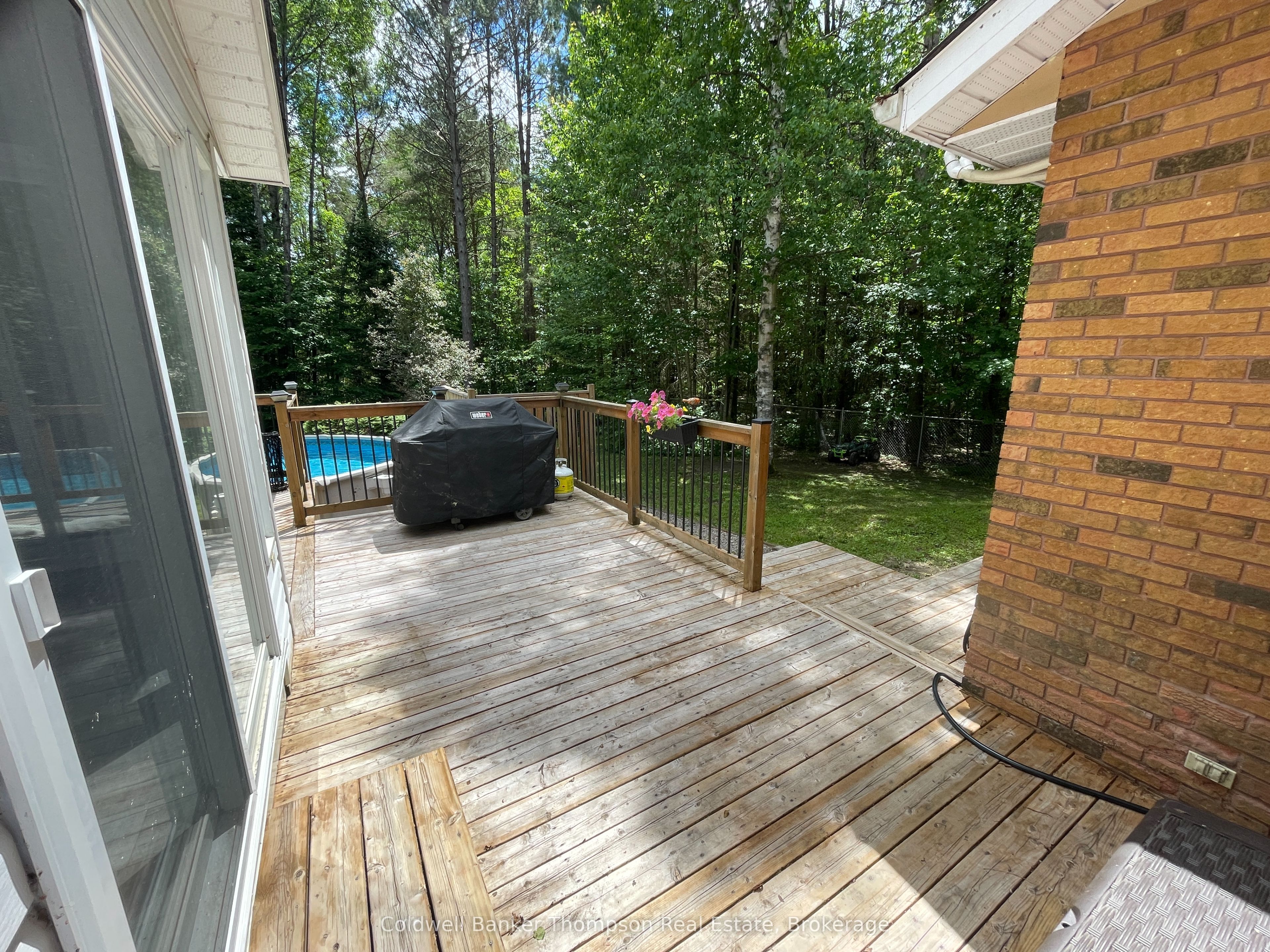 9 Murray Street Property Photo 11