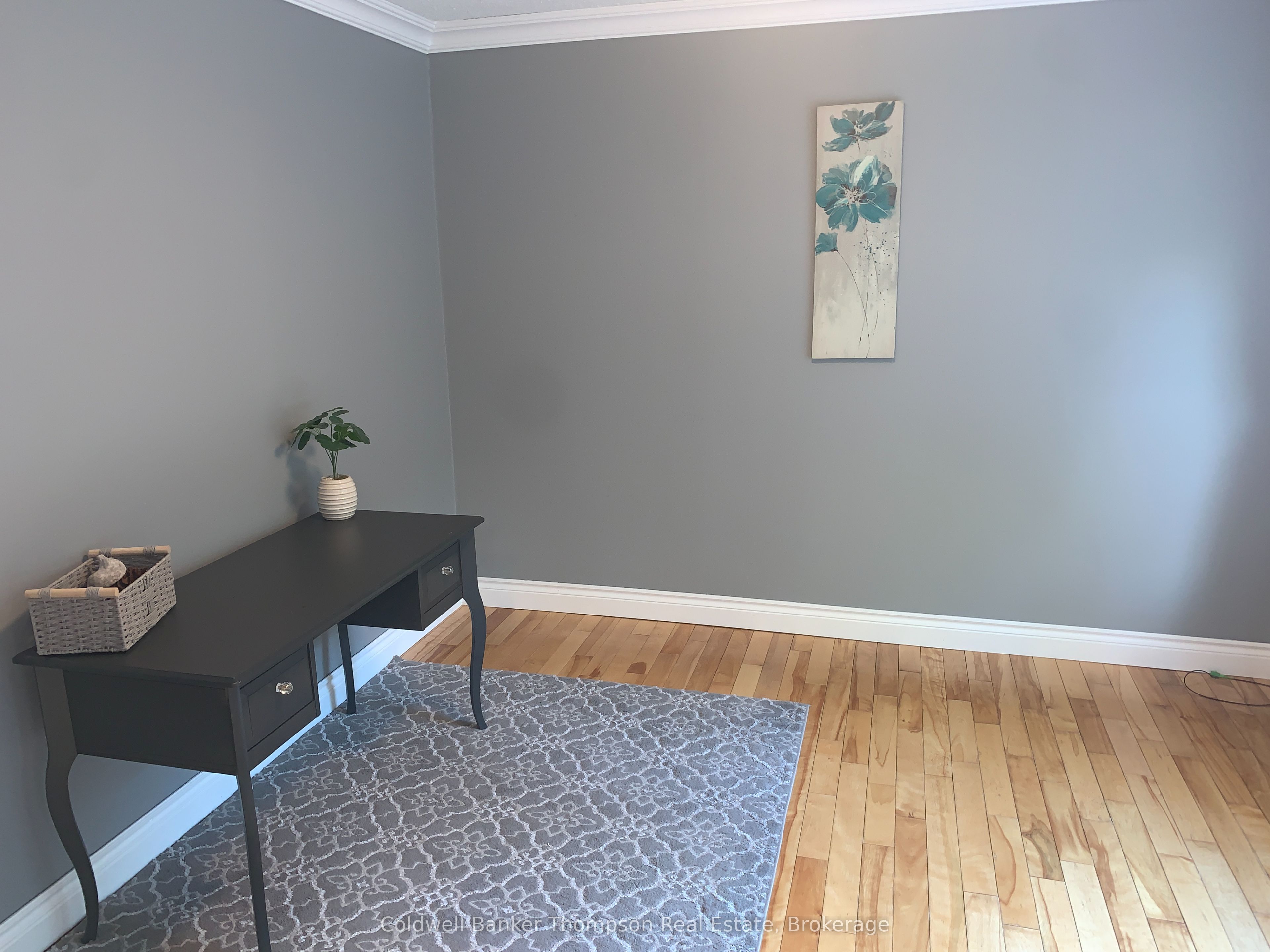9 Murray Street Property Photo 30