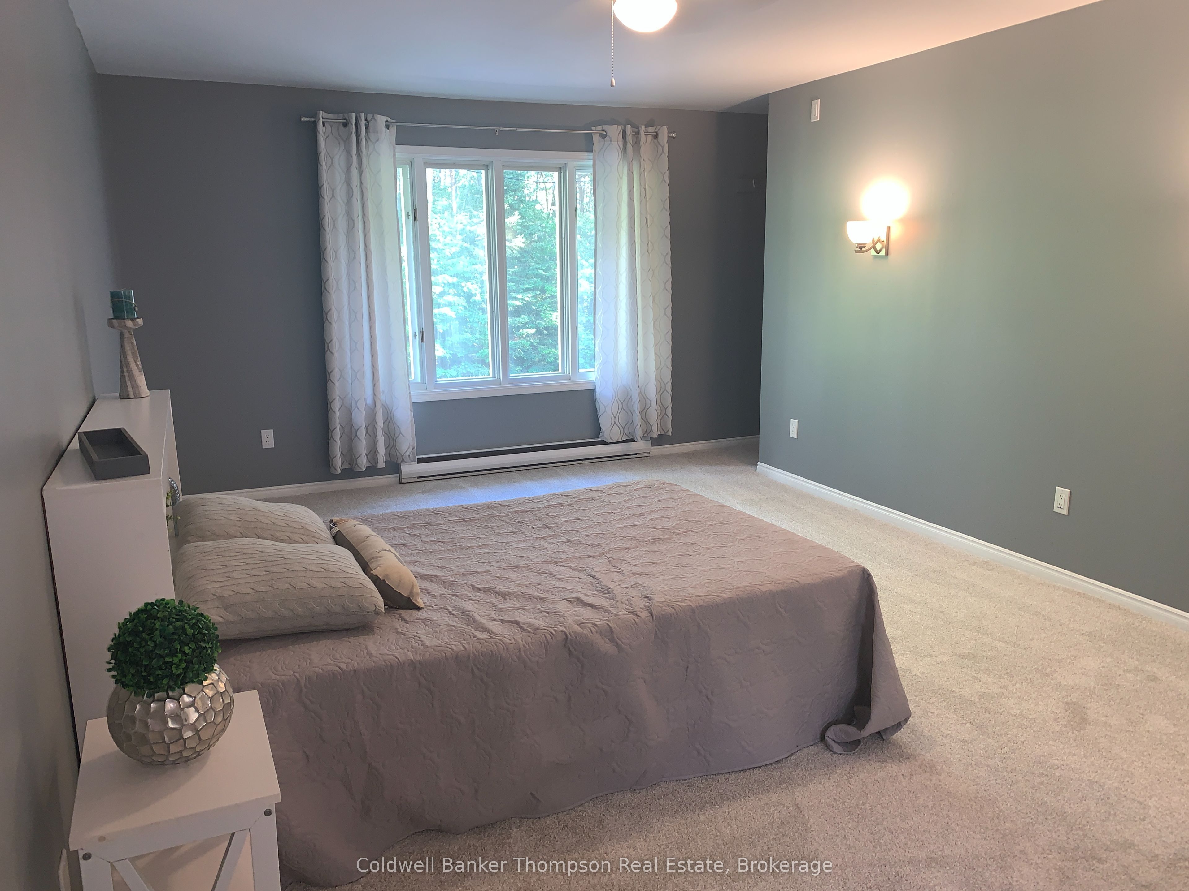 9 Murray Street Property Photo 33