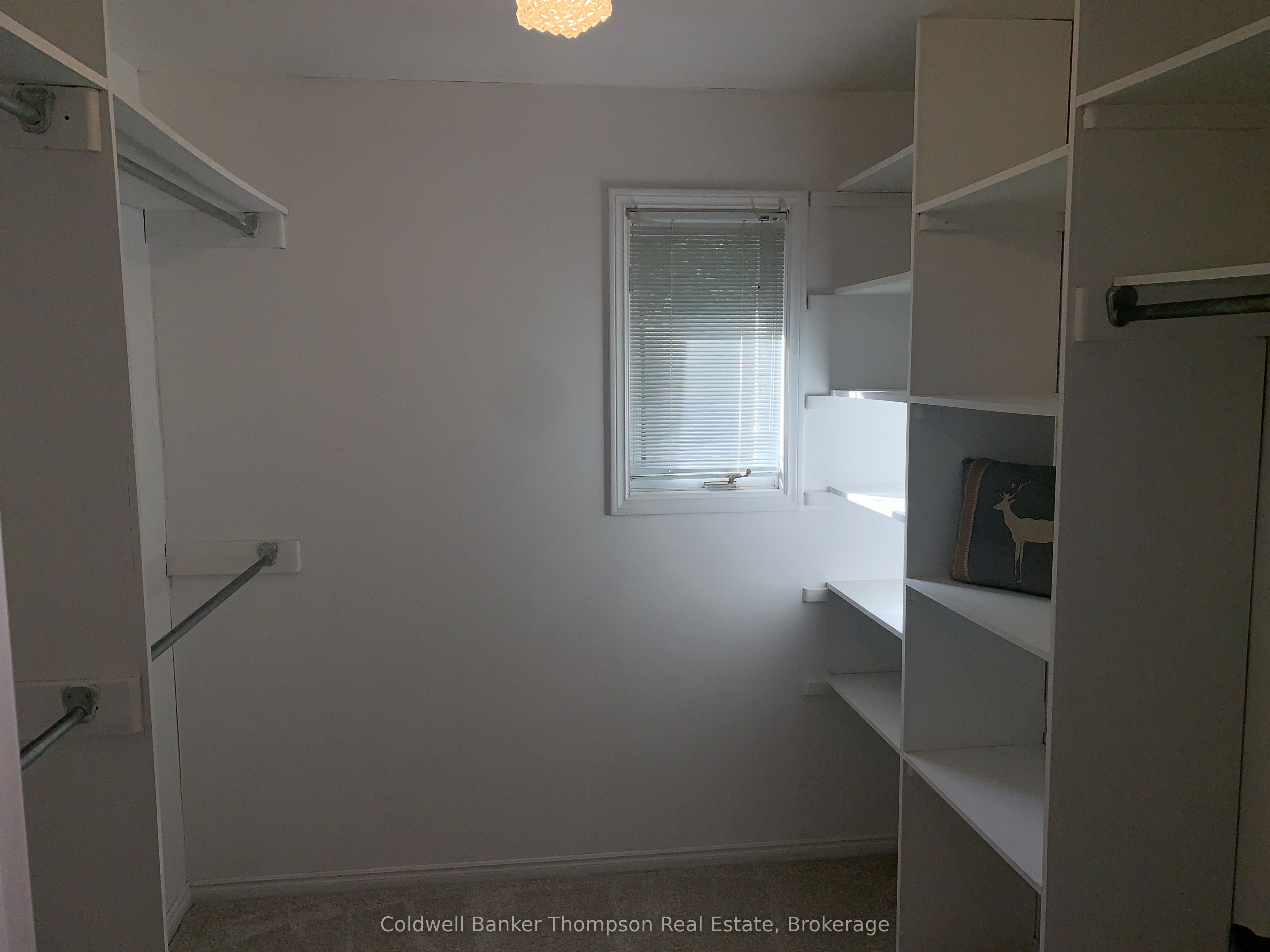 9 Murray Street Property Photo 35