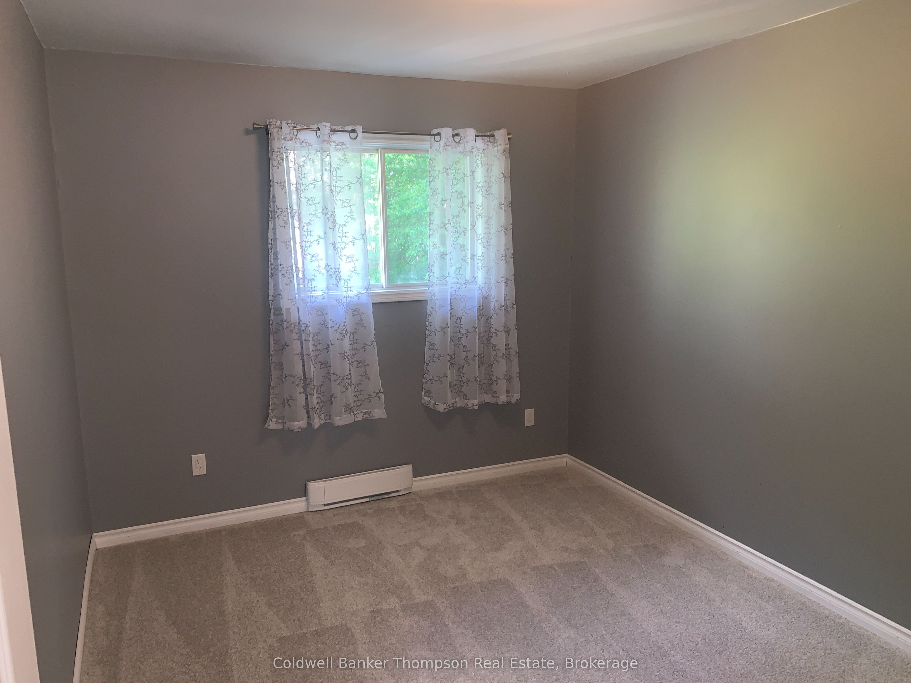 9 Murray Street Property Photo 39