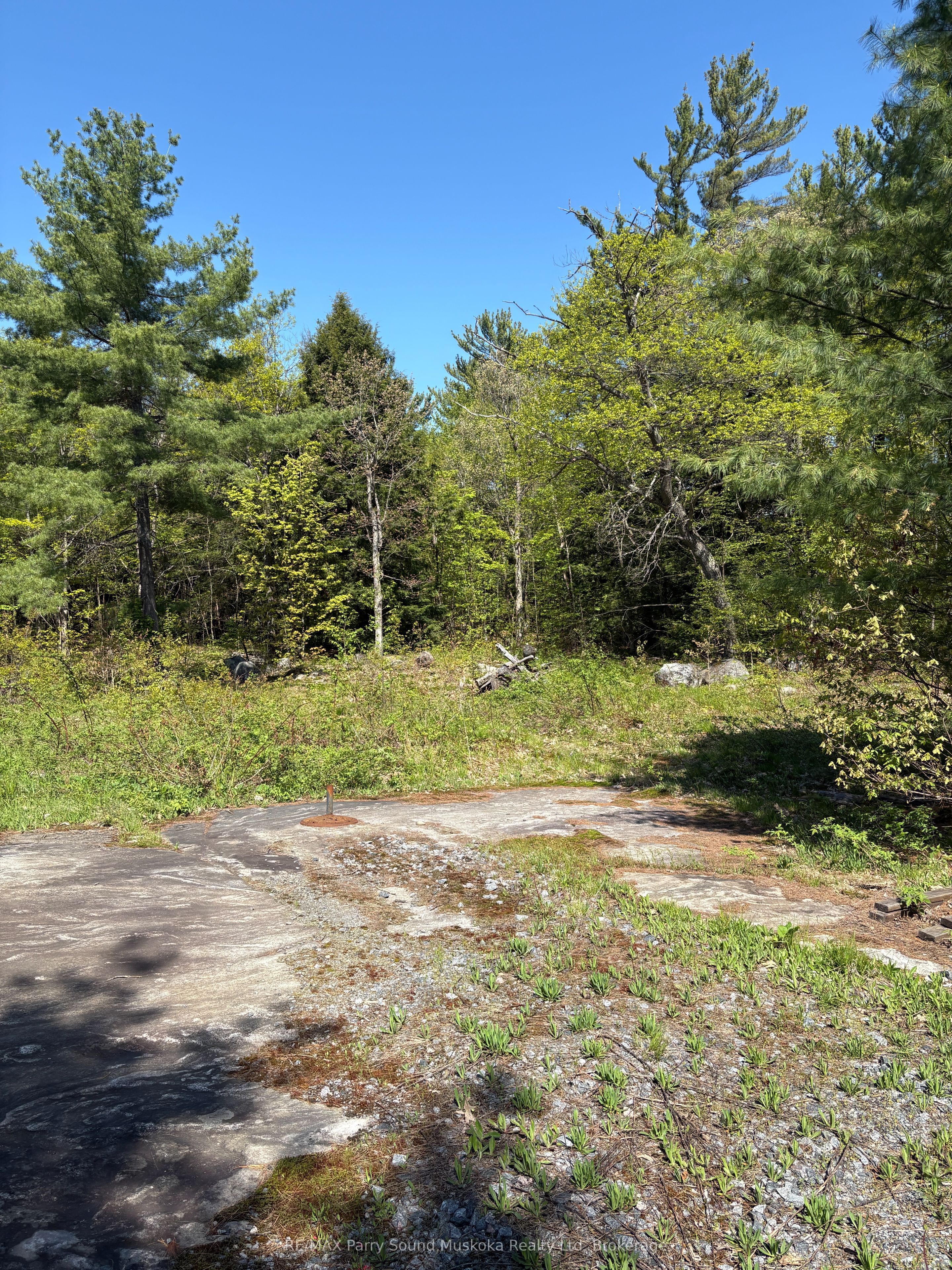 175 North Sandy Plains Road Property Photo 4