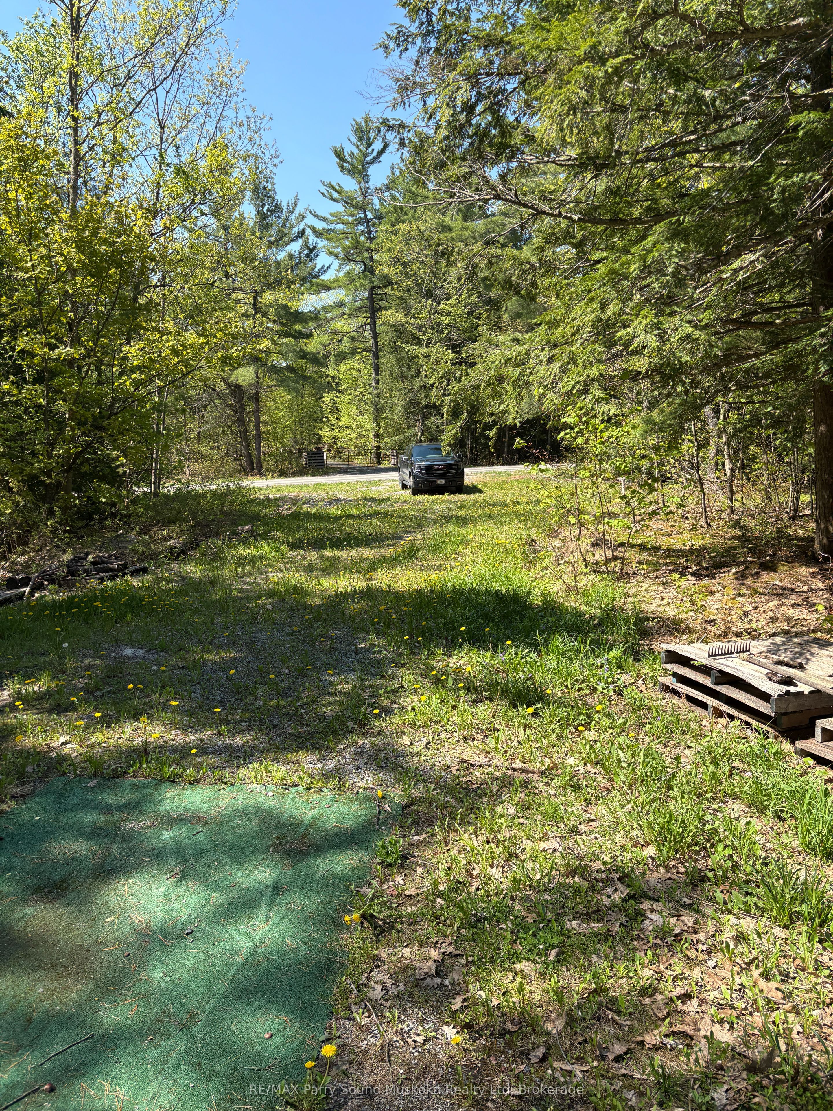 175 North Sandy Plains Road Property Photo 6