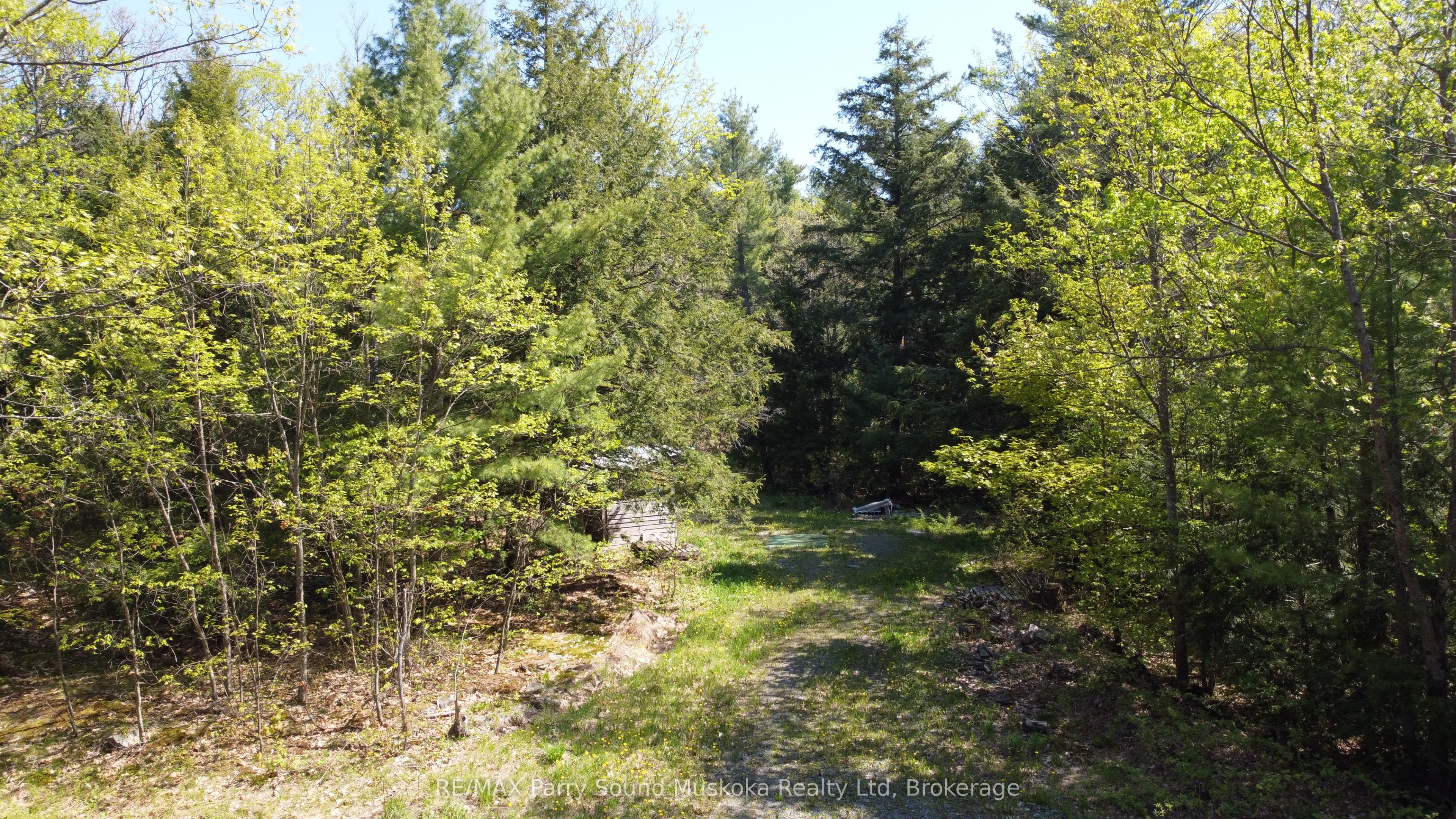 175 North Sandy Plains Road Property Photo 7