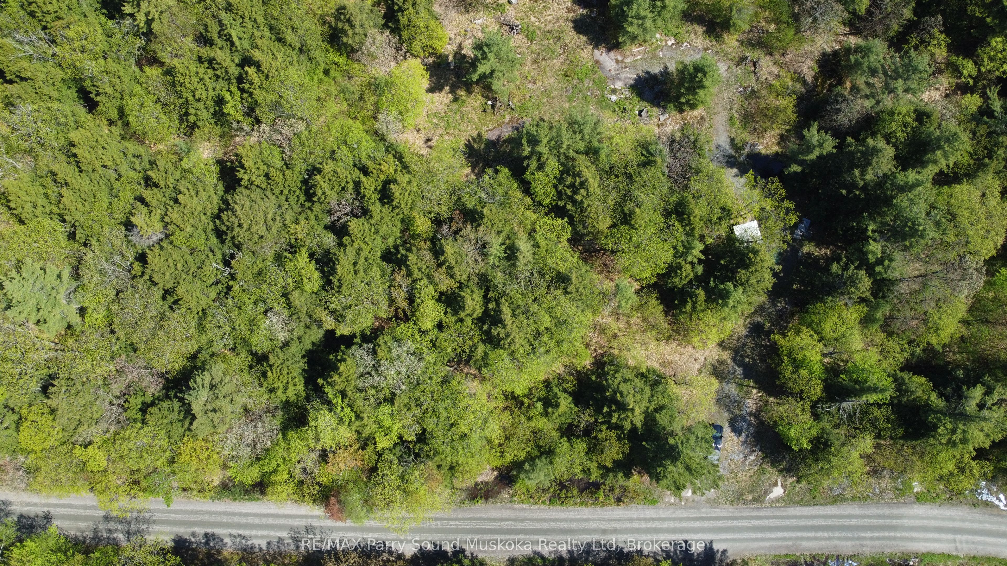 175 North Sandy Plains Road Property Photo 9