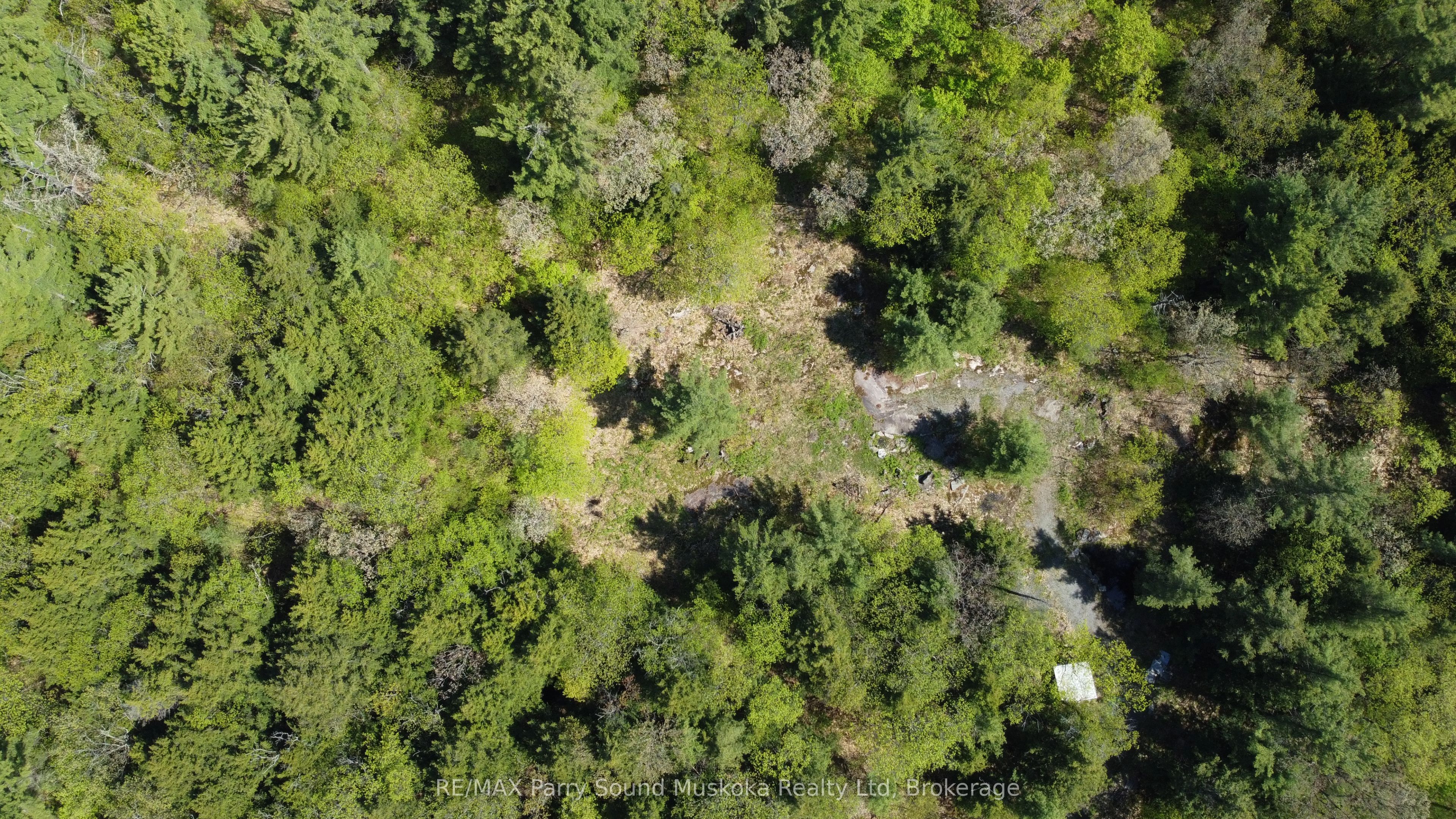175 North Sandy Plains Road Property Photo 10