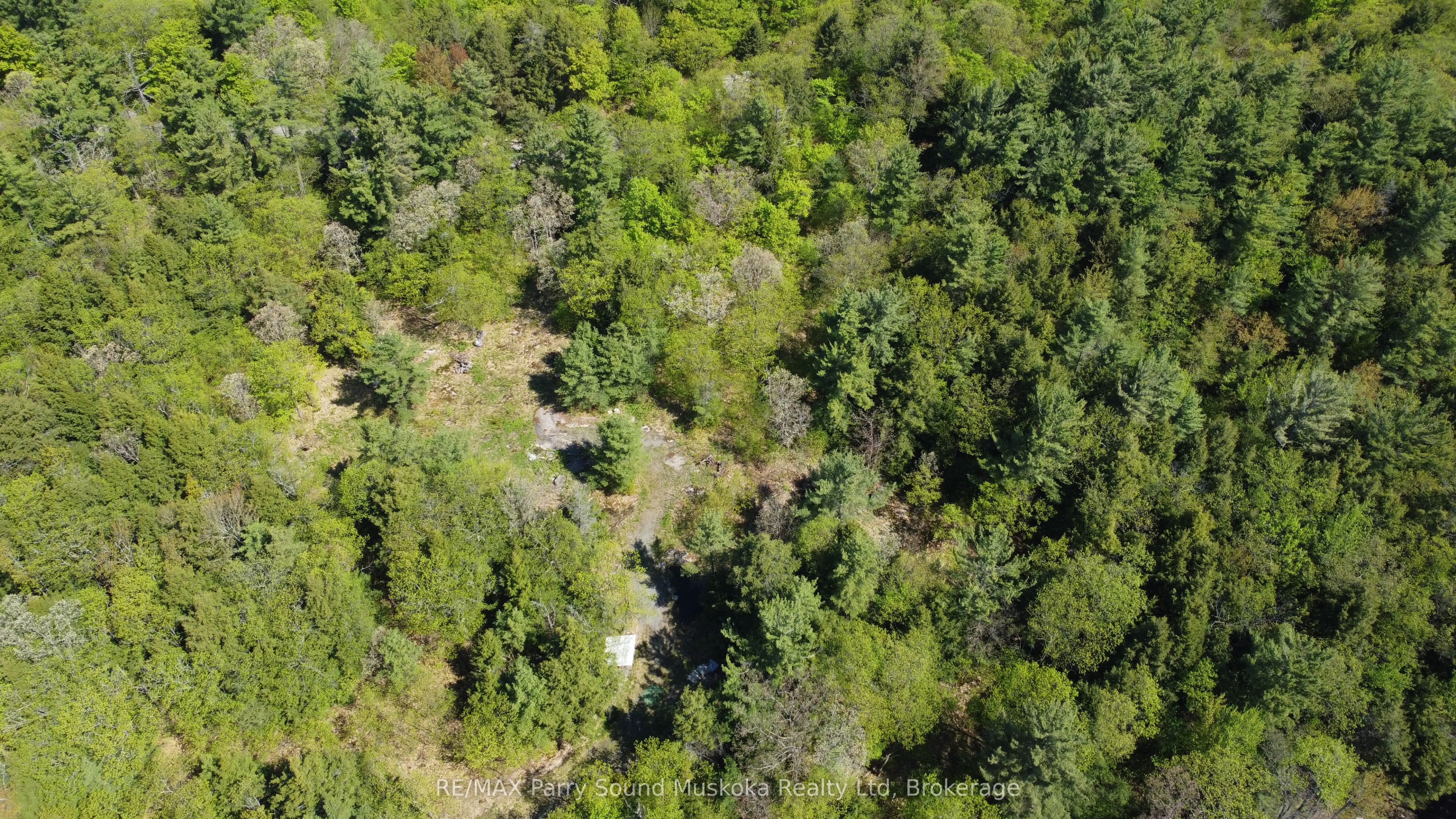 175 North Sandy Plains Road Property Photo 11