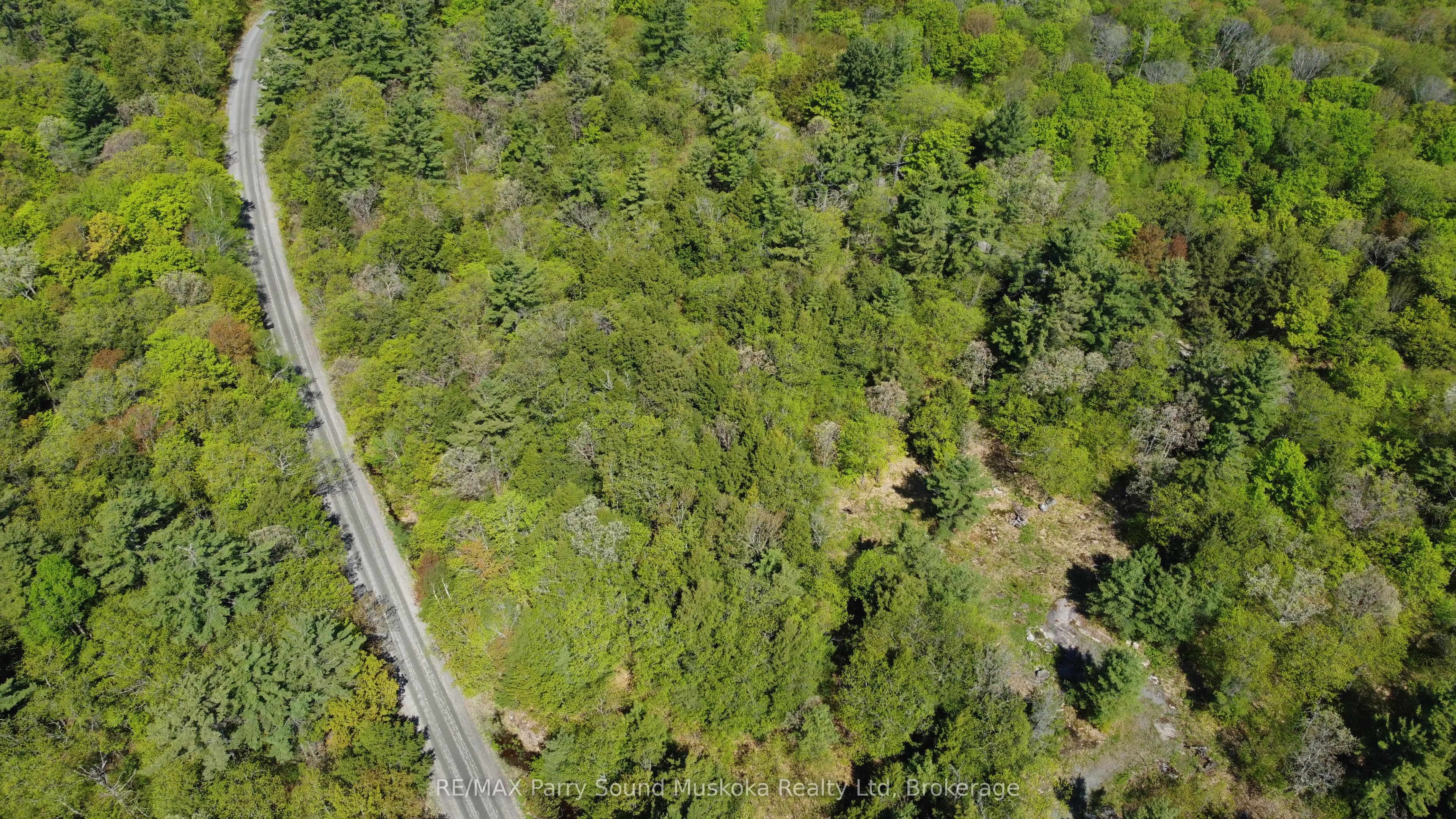 175 North Sandy Plains Road Property Photo 12