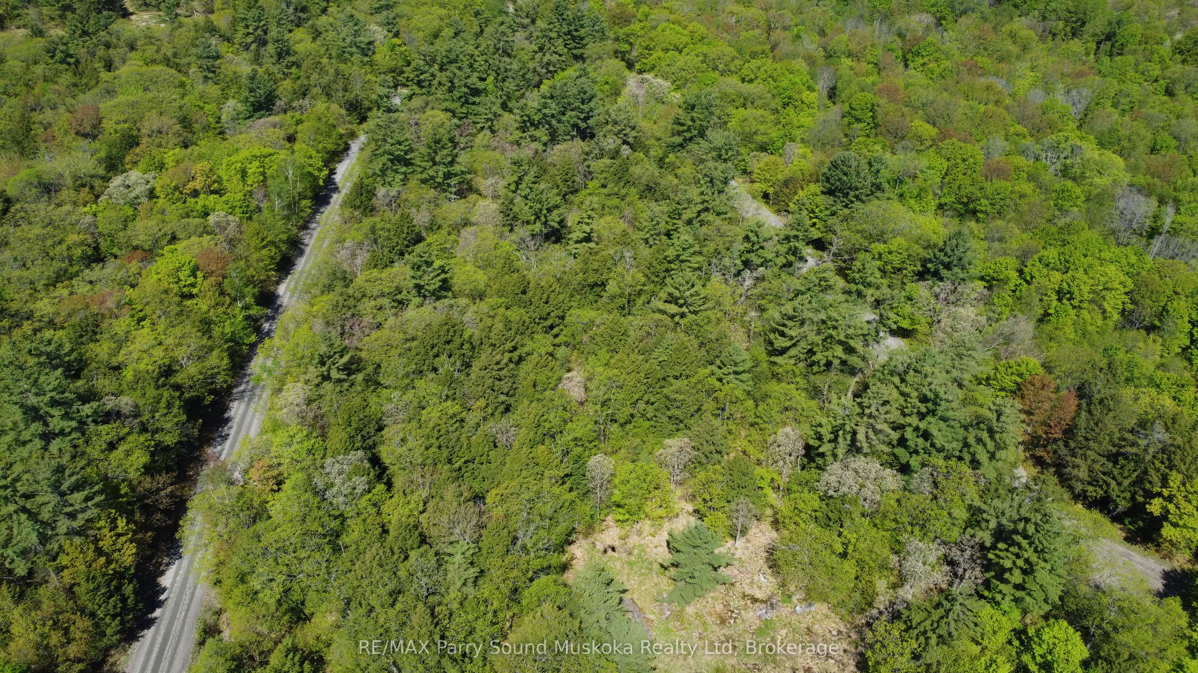 175 North Sandy Plains Road Property Photo 14