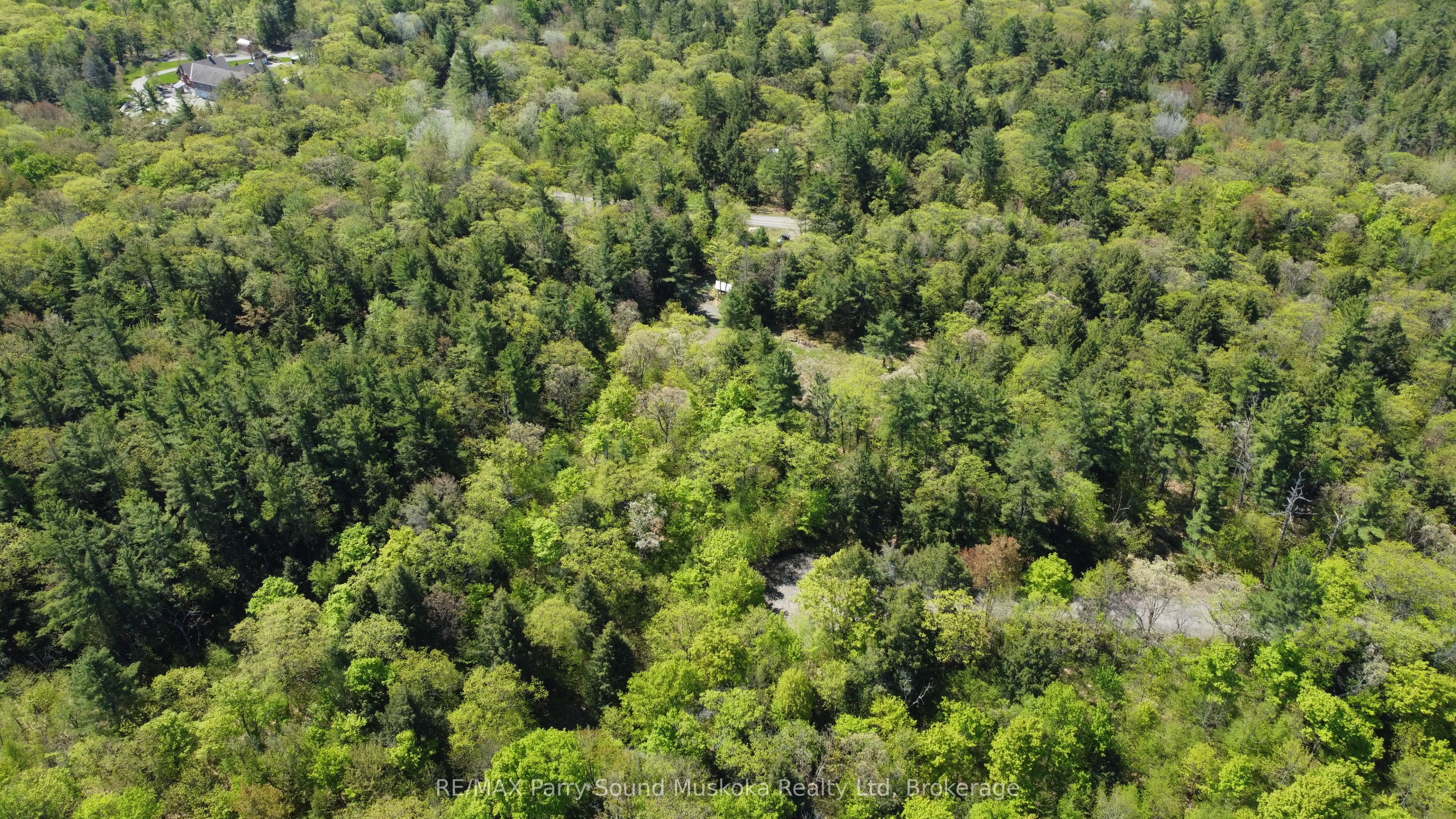 175 North Sandy Plains Road Property Photo 17