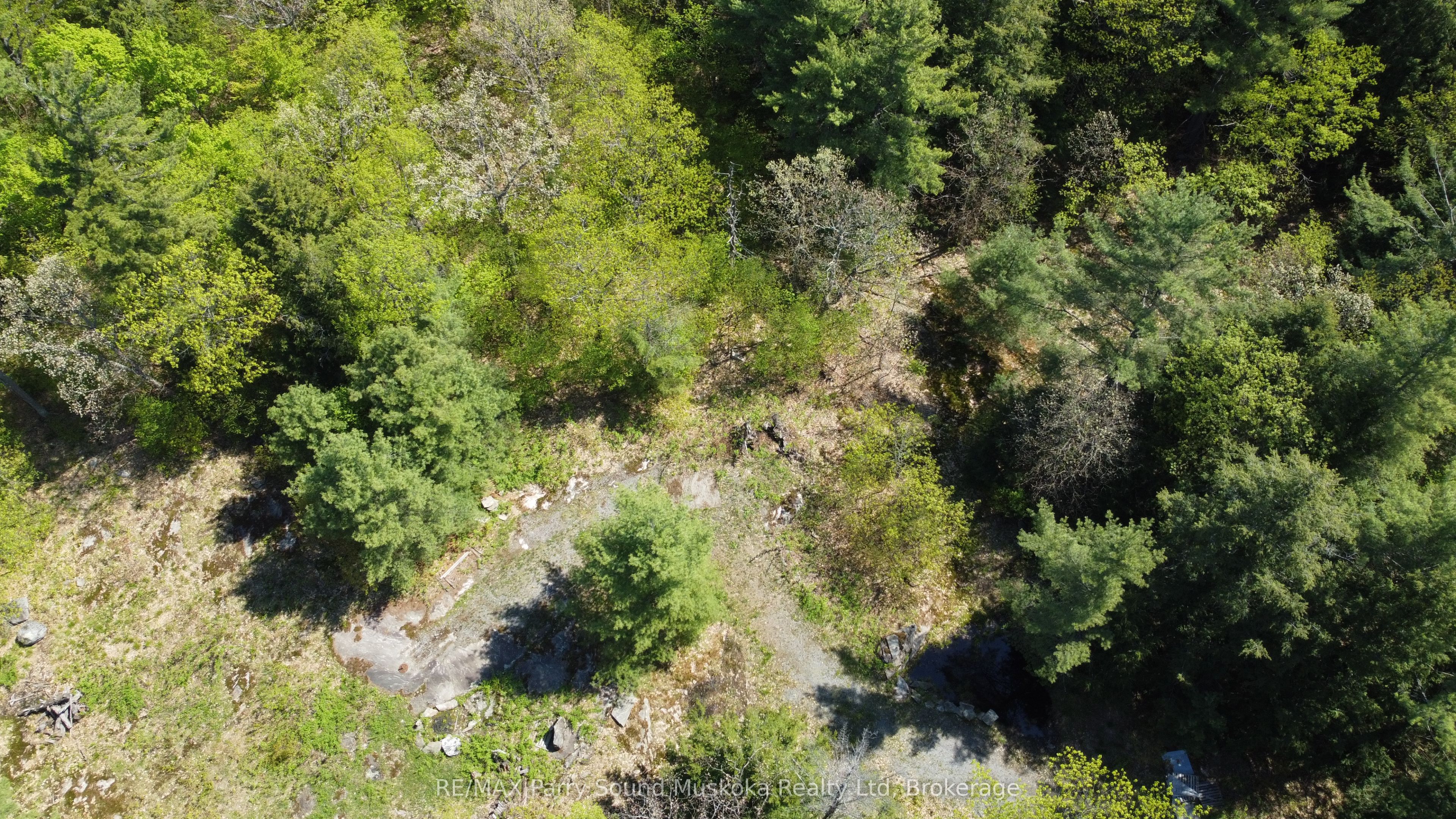 175 North Sandy Plains Road Property Photo 19