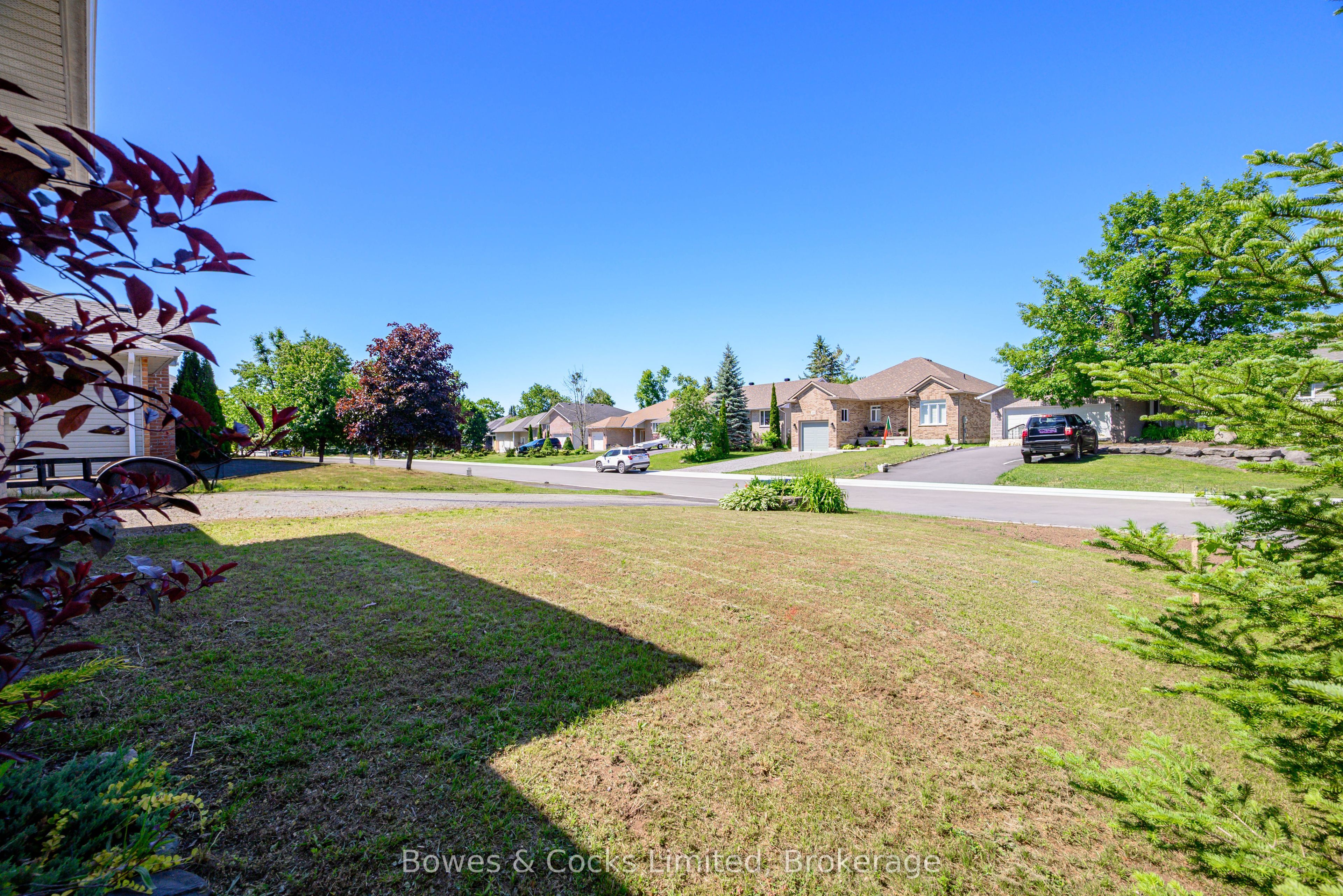 59 Birch Crescent Property Photo 6